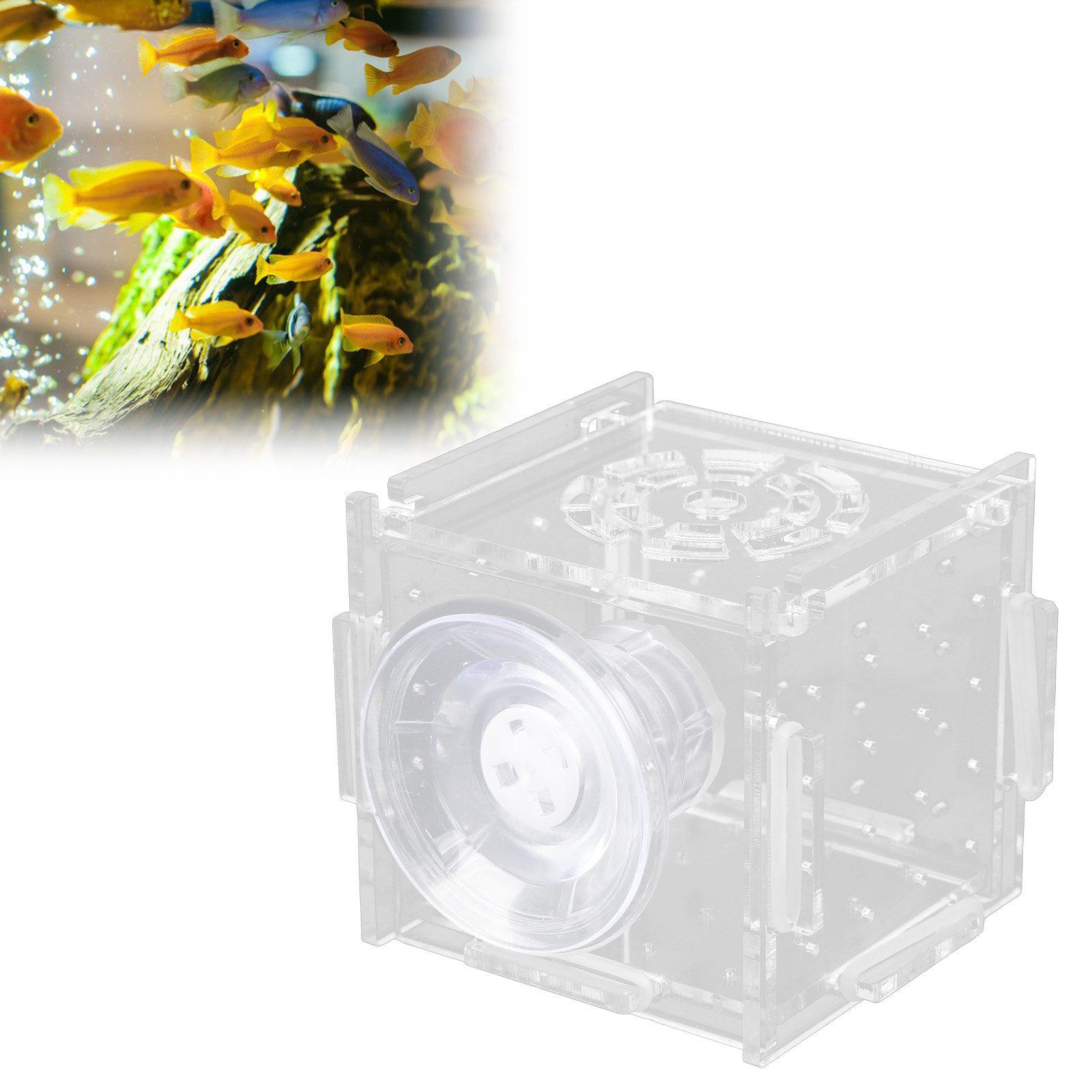 Mechright Aquarium Acryl-Fischisolationsbox, transparente Fischzuchtbox, Hohe Lichtdurchlässigkeit, geeignet für Jungfische und Garnelen