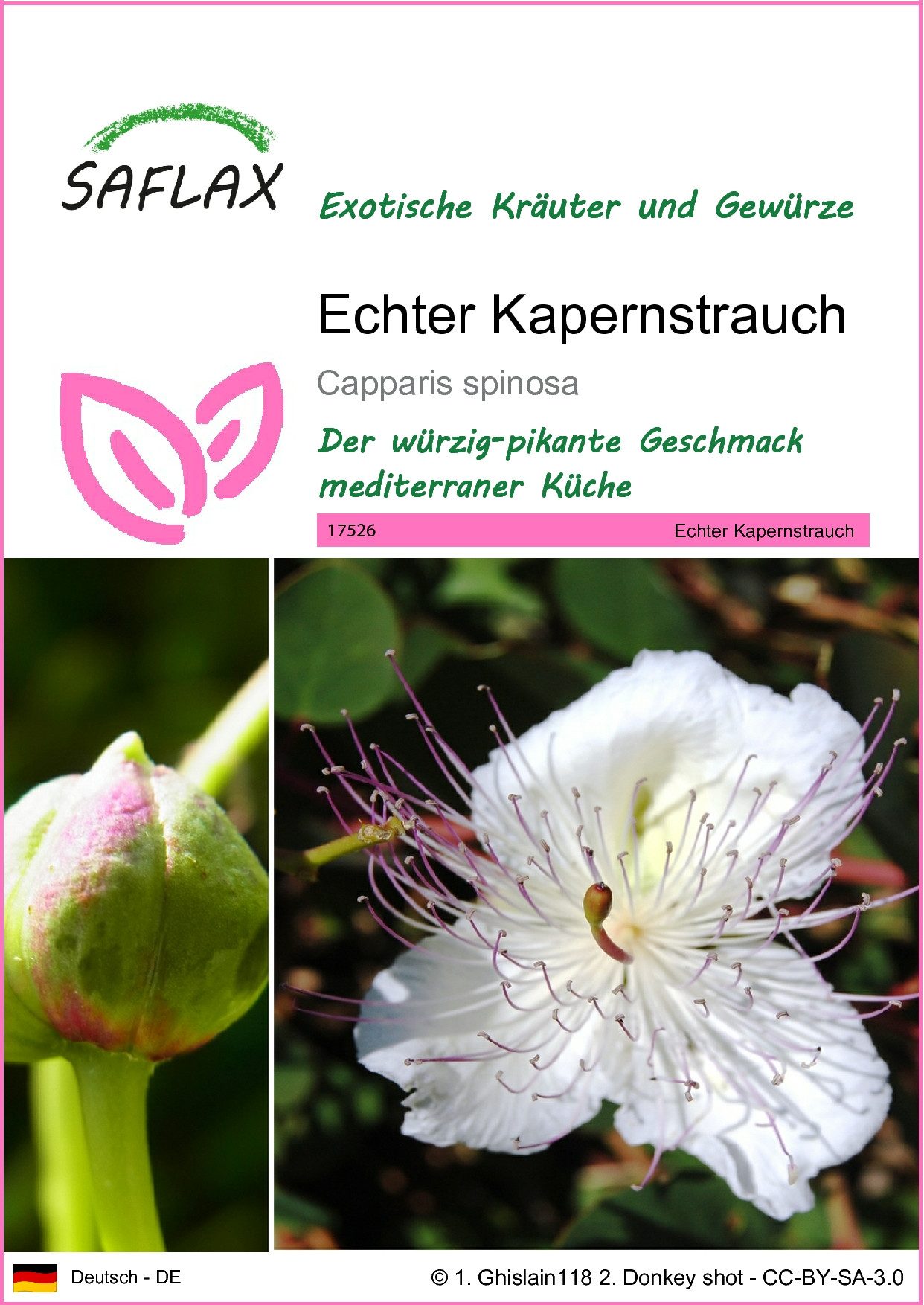 SAFLAX Kräutersamen SAFLAX - Samen - Echter Kapernstrauch günstig online kaufen
