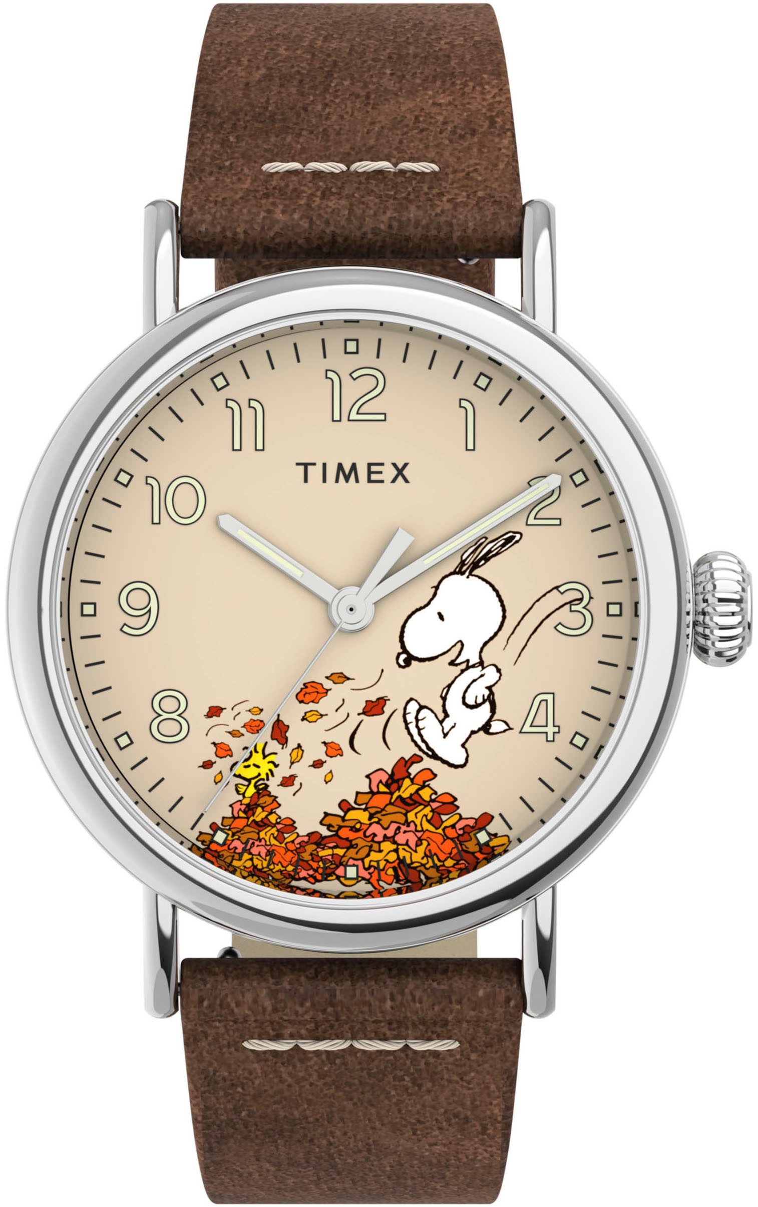 Timex Quarzuhr PEANUTS WATERBURY STANDARD TW2U86200AJ, günstig online kaufen