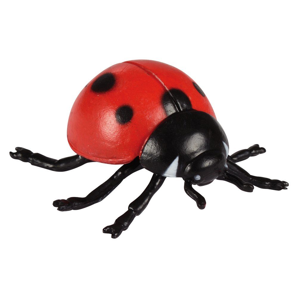 EDUPLAY Lernspielzeug Lebenszyklen Marienkäfer