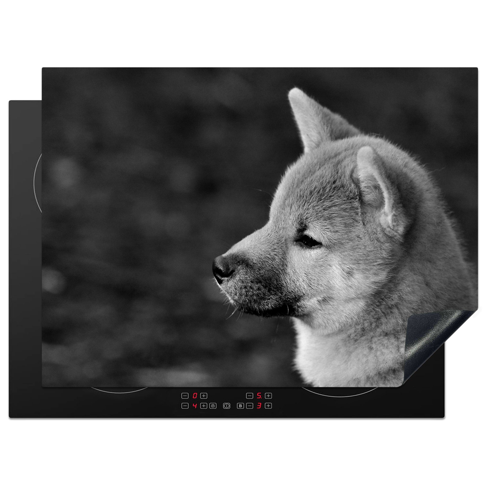 MuchoWow Herdblende-/Abdeckplatte Nahaufnahme Shiba Inu - schwarz und weiß, Vinyl, (1 tlg), 70x52 cm, Mobile Arbeitsfläche nutzbar, Ceranfeldabdeckung