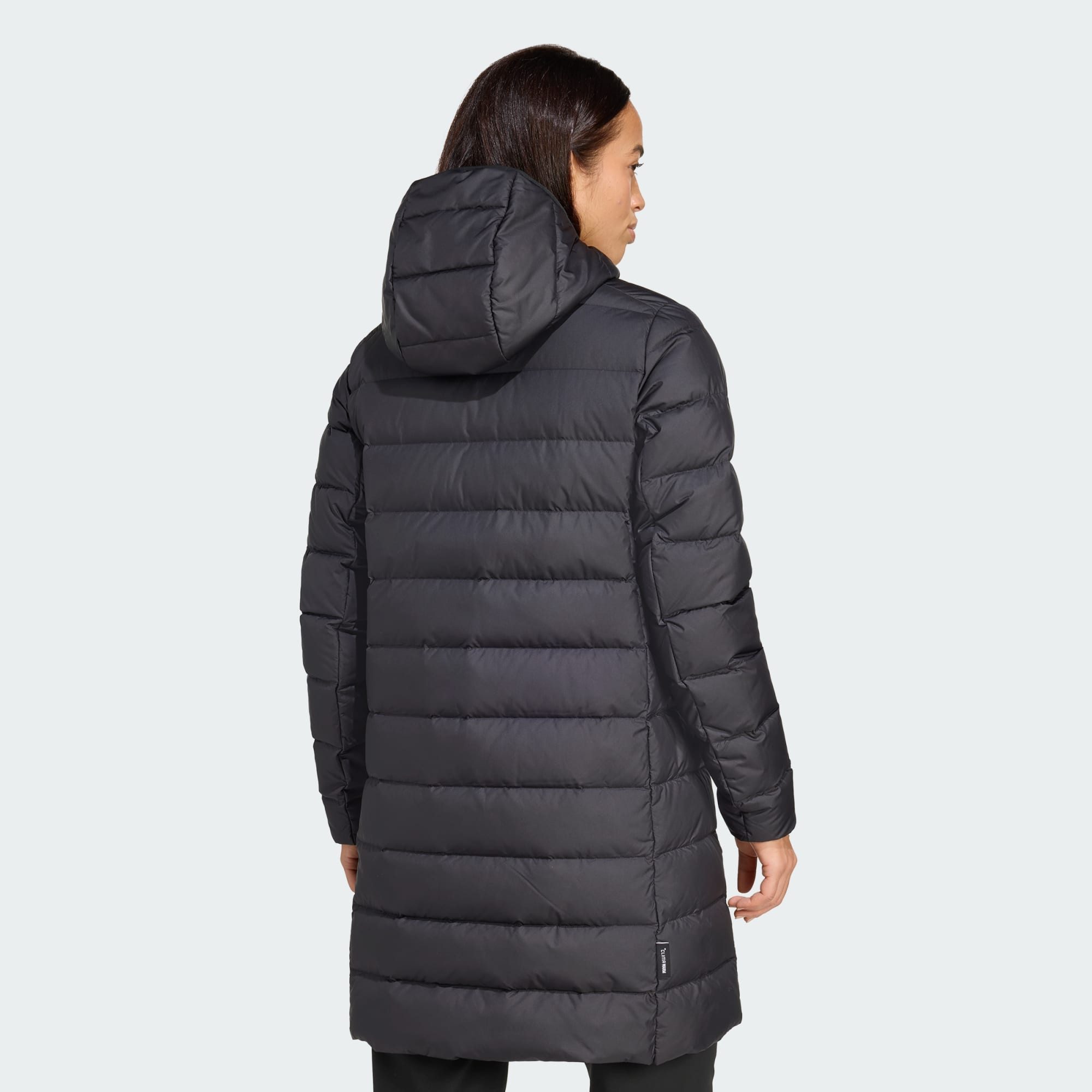adidas TERREX Funktionsparka TERREX MULTI LIGHT günstig online kaufen