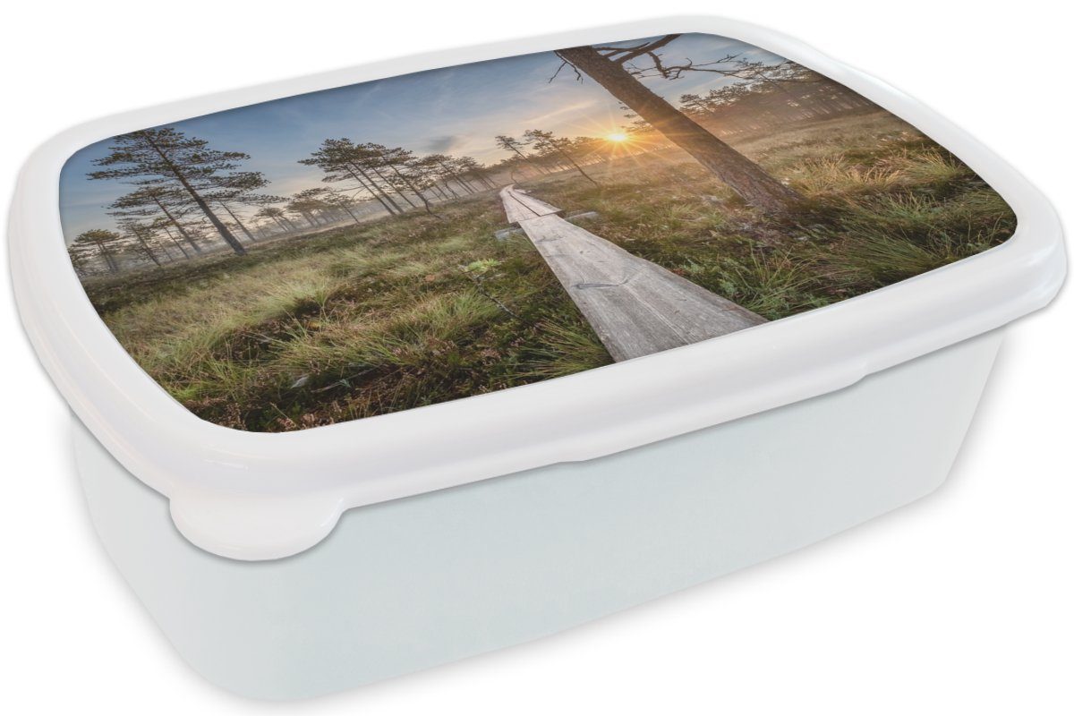 und - Erwachsene, Lunchbox für Kinder Mädchen und Kunststoff, MuchoWow Wald Brotdose, für (2-tlg), Jungs - Sumpf Baum, weiß Brotbox