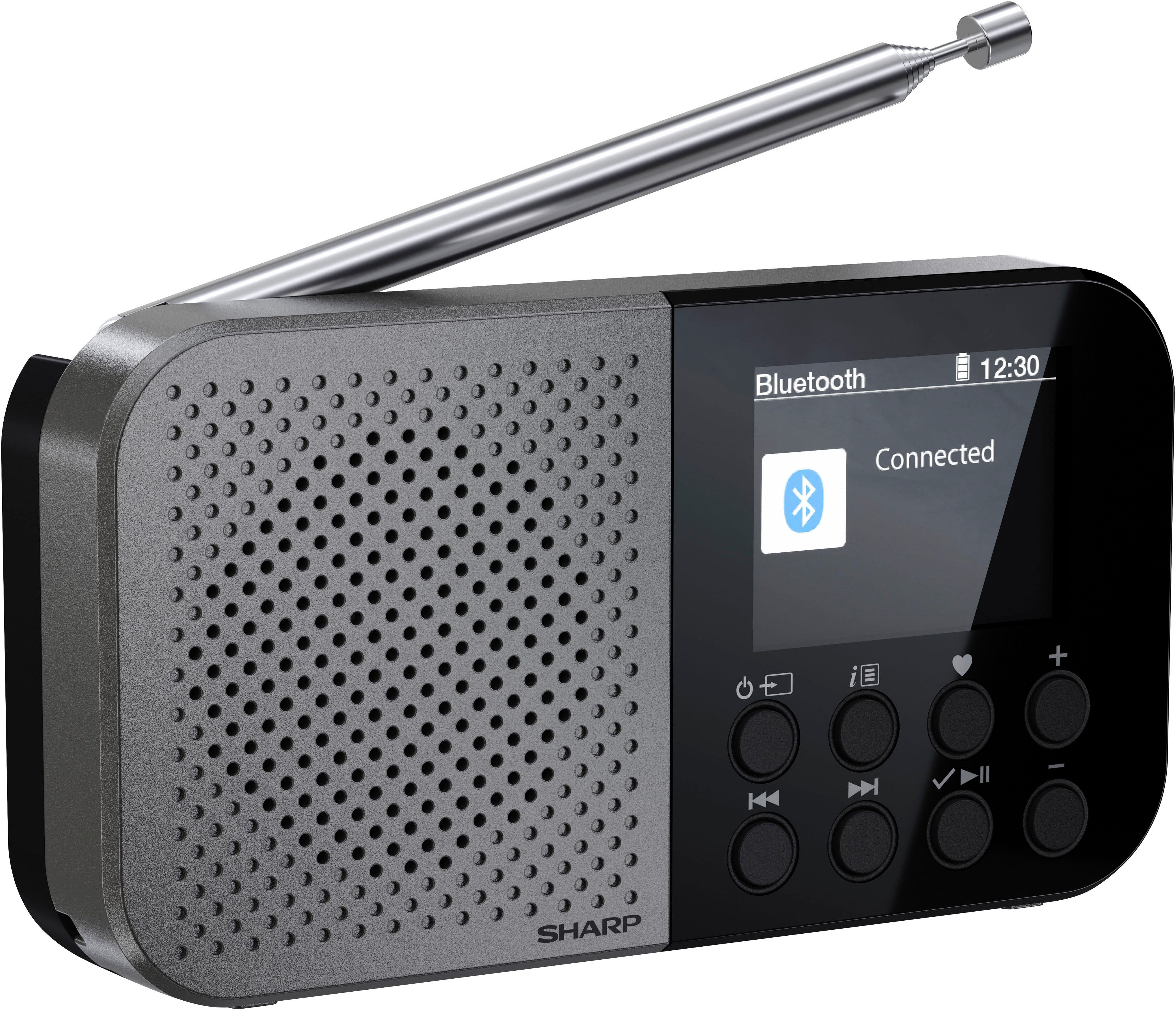 DR-P520 Radio