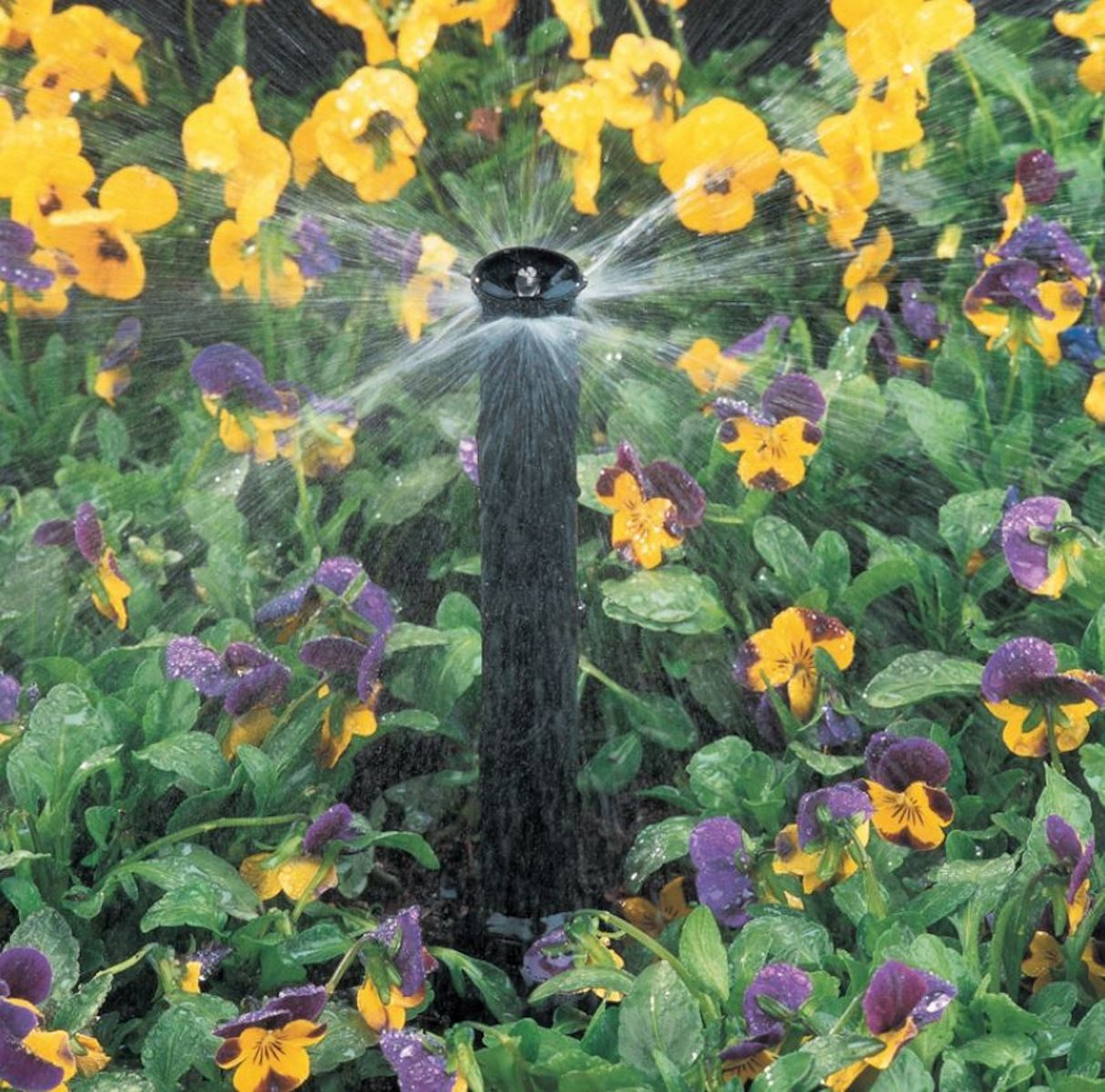 Rain Bird Bewässerungssystem Sprühkopf Düse Streifendüse zu Serie 1800 / UNI-Spray - Typ MPR