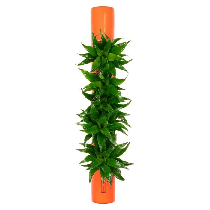 Flowerbox Wanddekoobjekt bigTube - orange - 65x7 5 cm