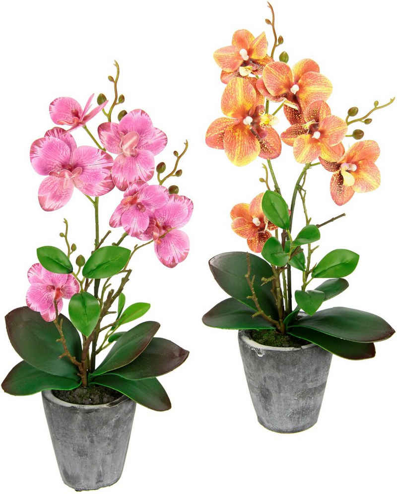 Kunstpflanze Orchidee, I.GE.A., Höhe 40 cm, Mit Blättern und Luftwurzeln, im Topf aus Keramik, 2er Set