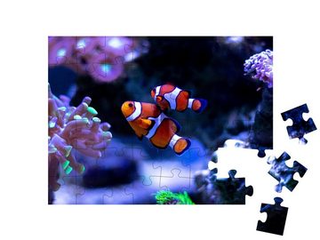 puzzleYOU Puzzle Clownfisch schwimmt in einem Aquarium, 48 Puzzleteile, puzzleYOU-Kollektionen 100 Teile, Clownfische