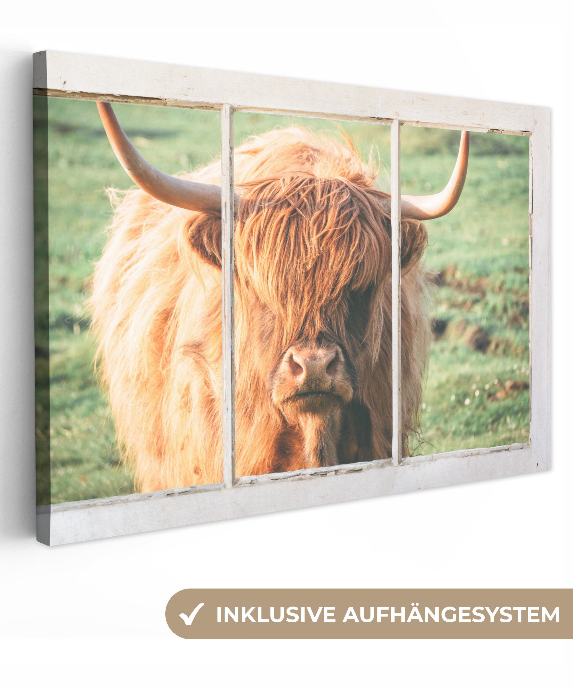 OneMillionCanvasses® Leinwandbild Schottische Highlander - Natur - Ansicht, (1 St), Wandbild Leinwandbilder, Aufhängefertig, Wanddeko, 30x20 cm