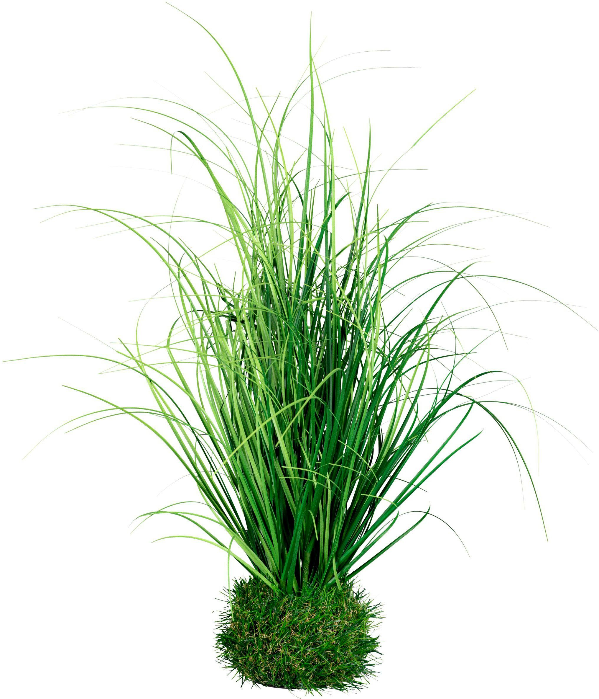 Kunstgras Grasbusch Gras, Creativ green, Höhe günstig online kaufen