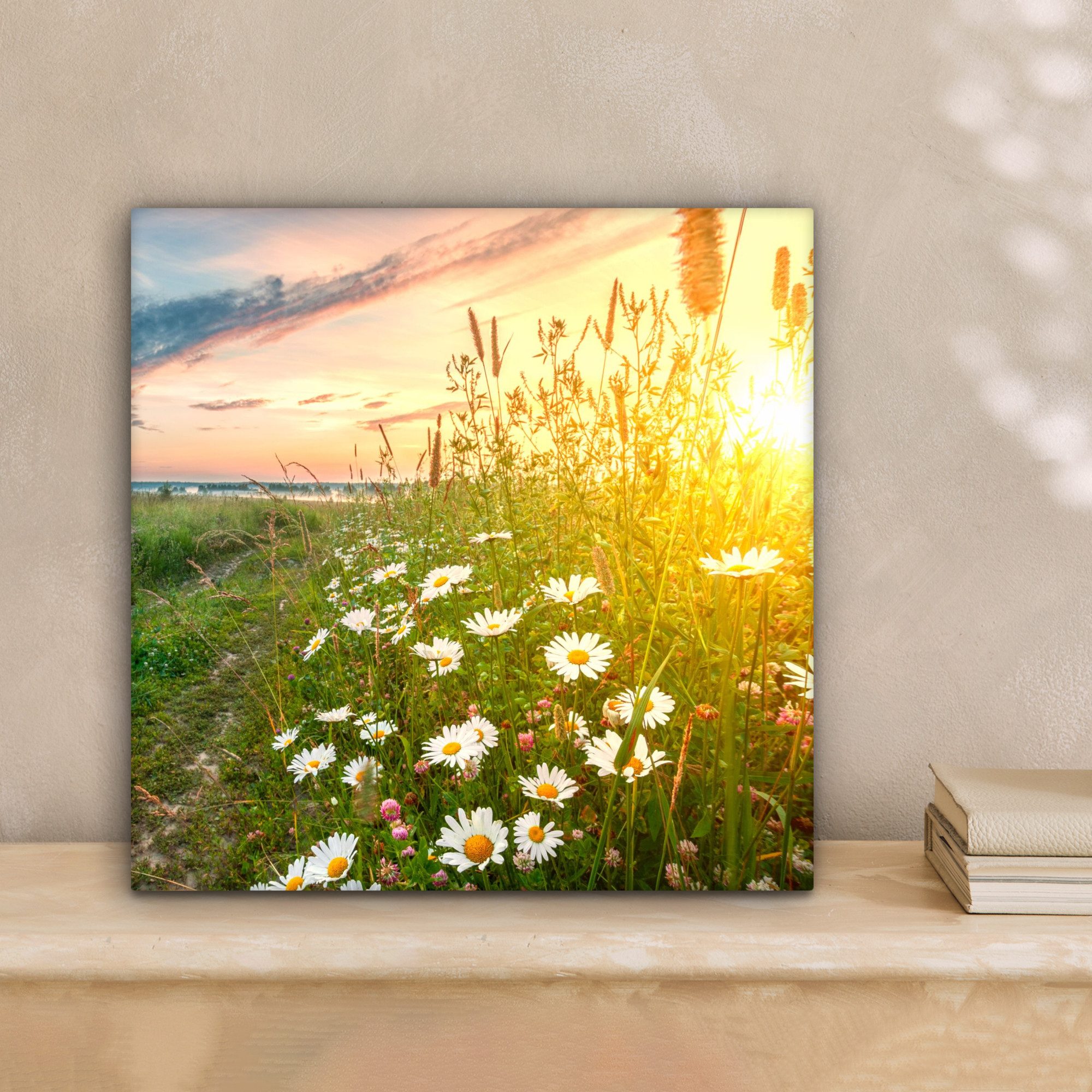 OneMillionCanvasses® Leinwandbild Blumen - Gänseblümchen - günstig online kaufen