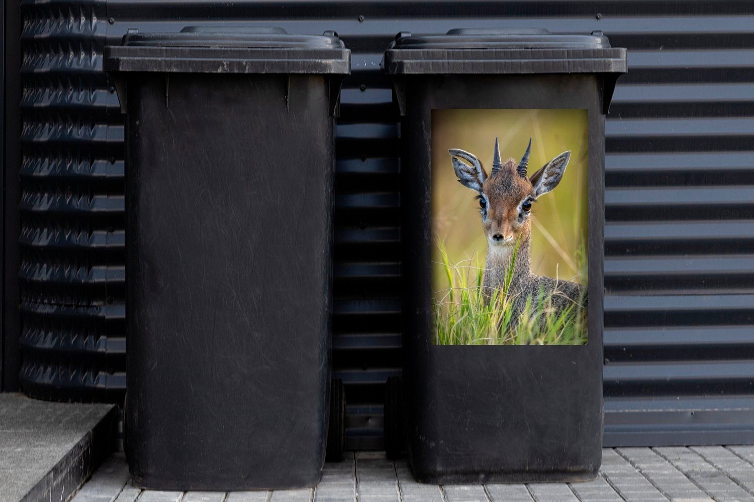 Dick Container, St), Mülleimer-aufkleber, Abfalbehälter in (1 Mülltonne, Sticker, Kenia Wandsticker MuchoWow