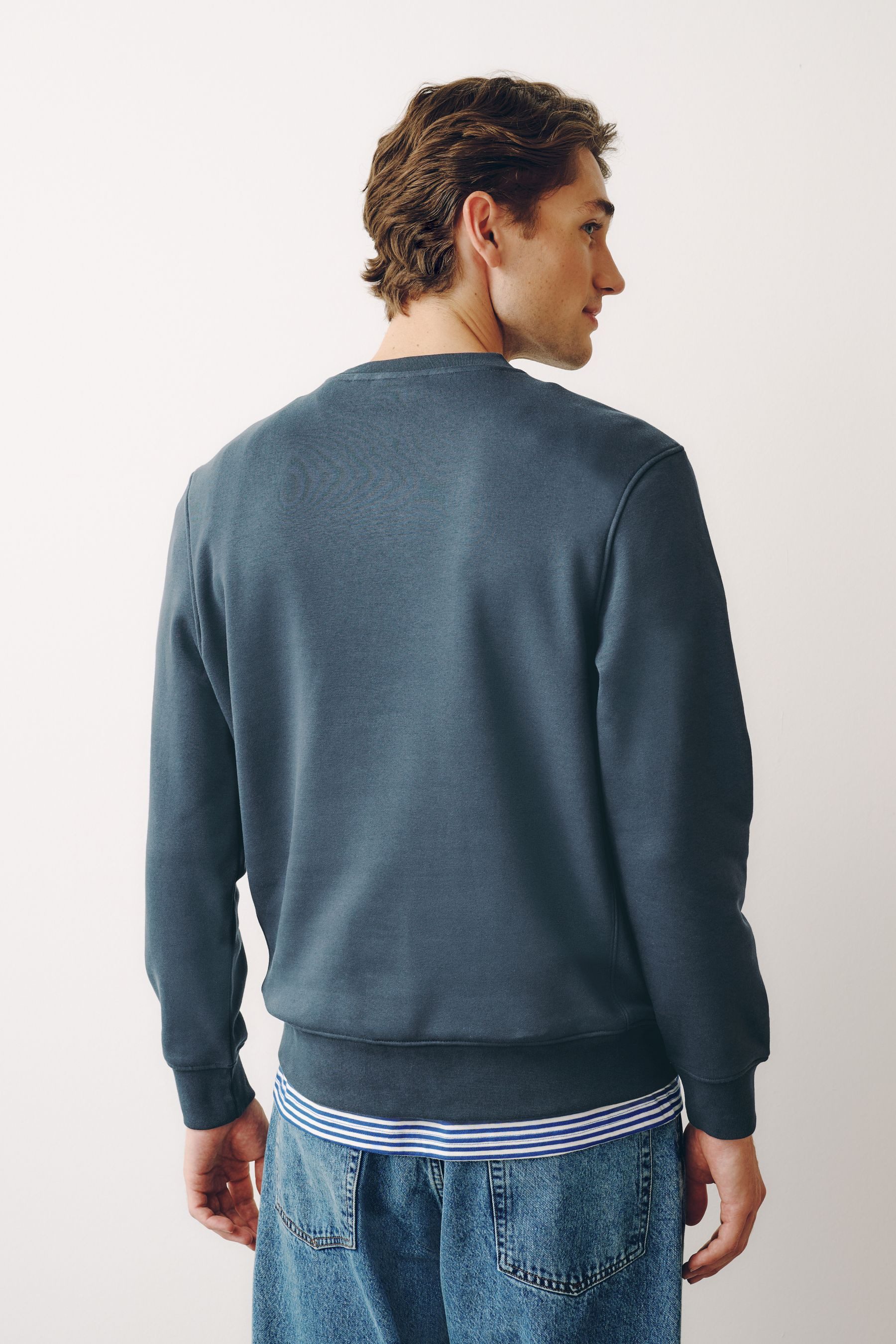 Next Sweater Schweres Regular Fit Rundhalssweatshirt (1-tlg) – Bild 2 von 5