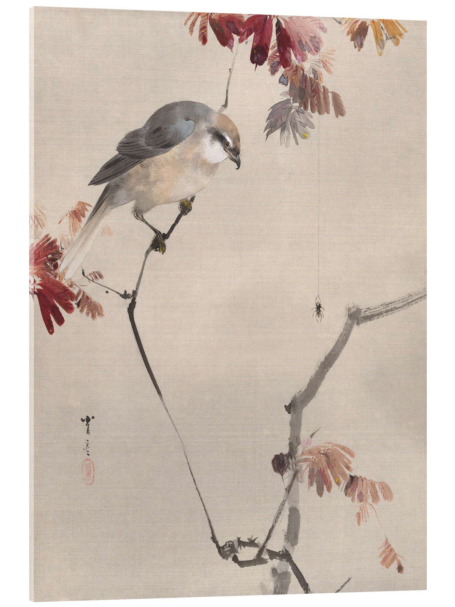 Posterlounge Acrylglasbild Watanabe Seitei, Vogel beobachtet eine Spinne, Malerei