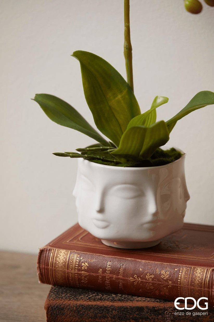enzo de gasperi Dekovase Naturgetreue Orchideen H 40 cm in 3 Farben in Vase - nie mehr gießen! (verschiedene Größen können kombiniert werden)