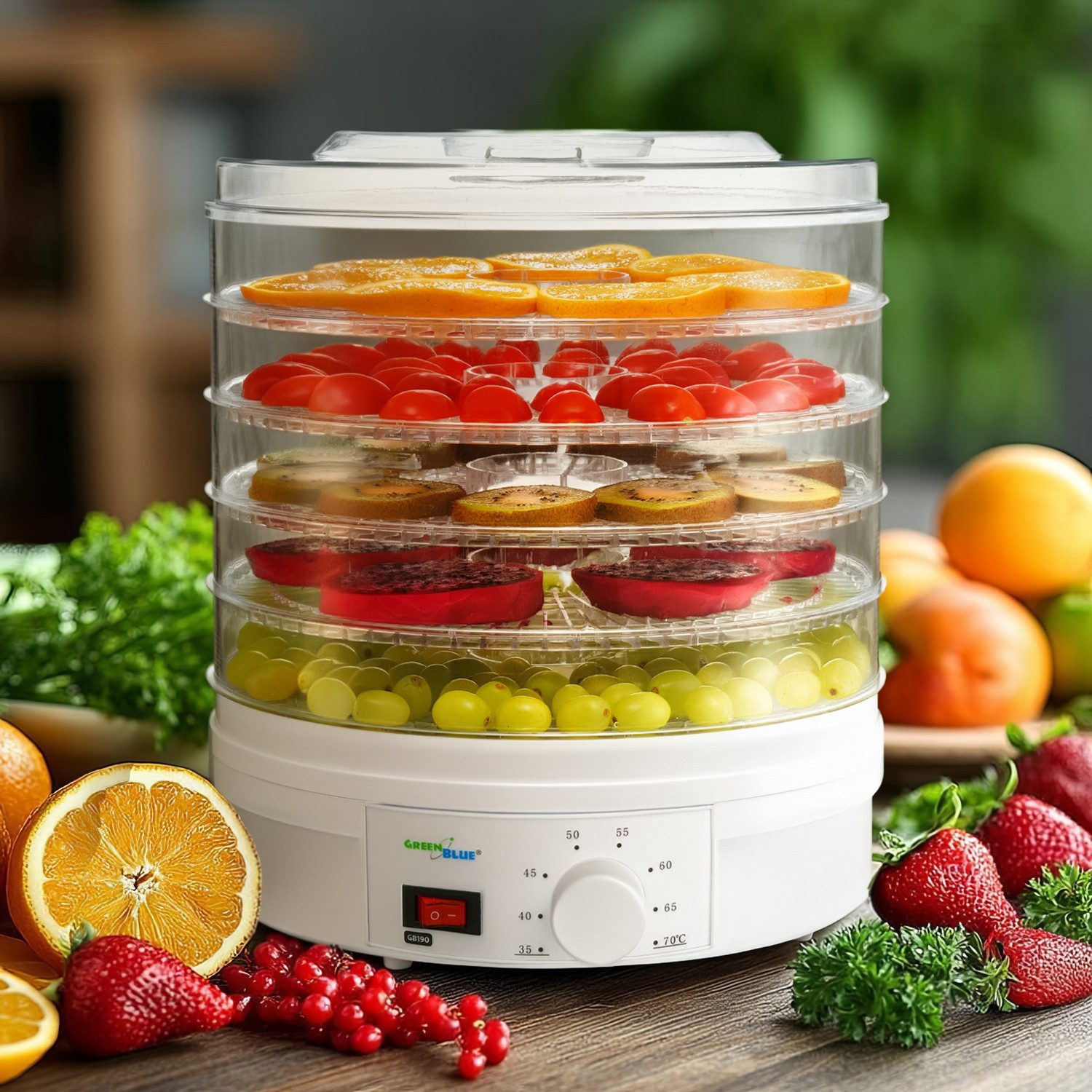 GreenBlue Dörrautomat GB190 250 W, einstellbare Temperatur [35 bis 70 °C], 5 abnehmbare Ebenen – Bild 4 von 5