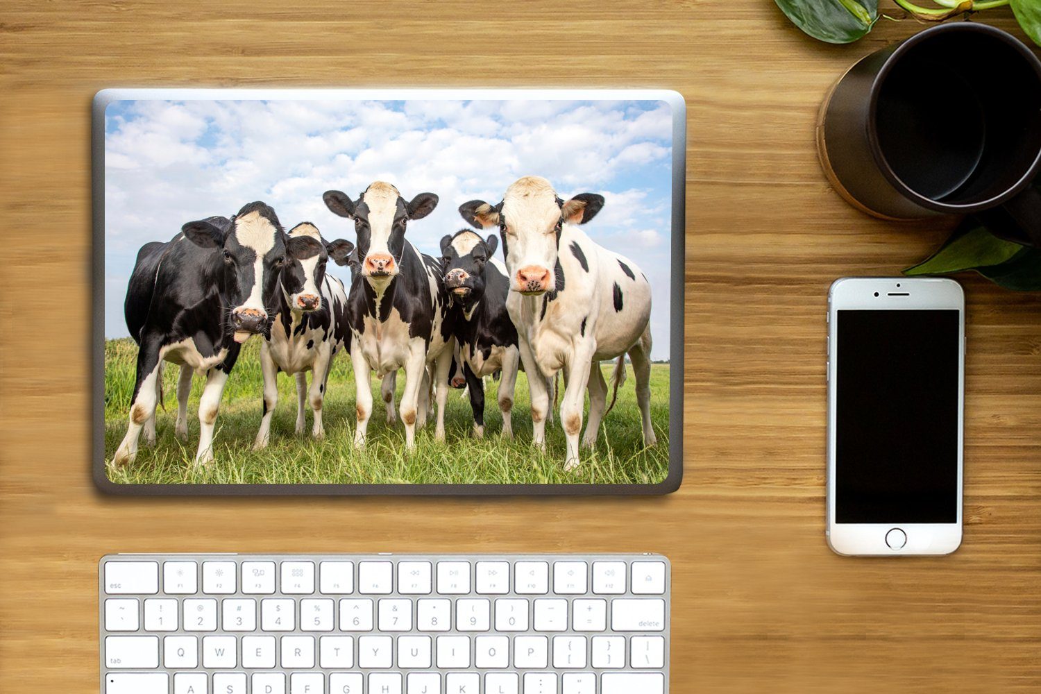Thumbnail - MuchoWow Laptop-Aufkleber Kühe - Weide - Tiere - Natur - Gras