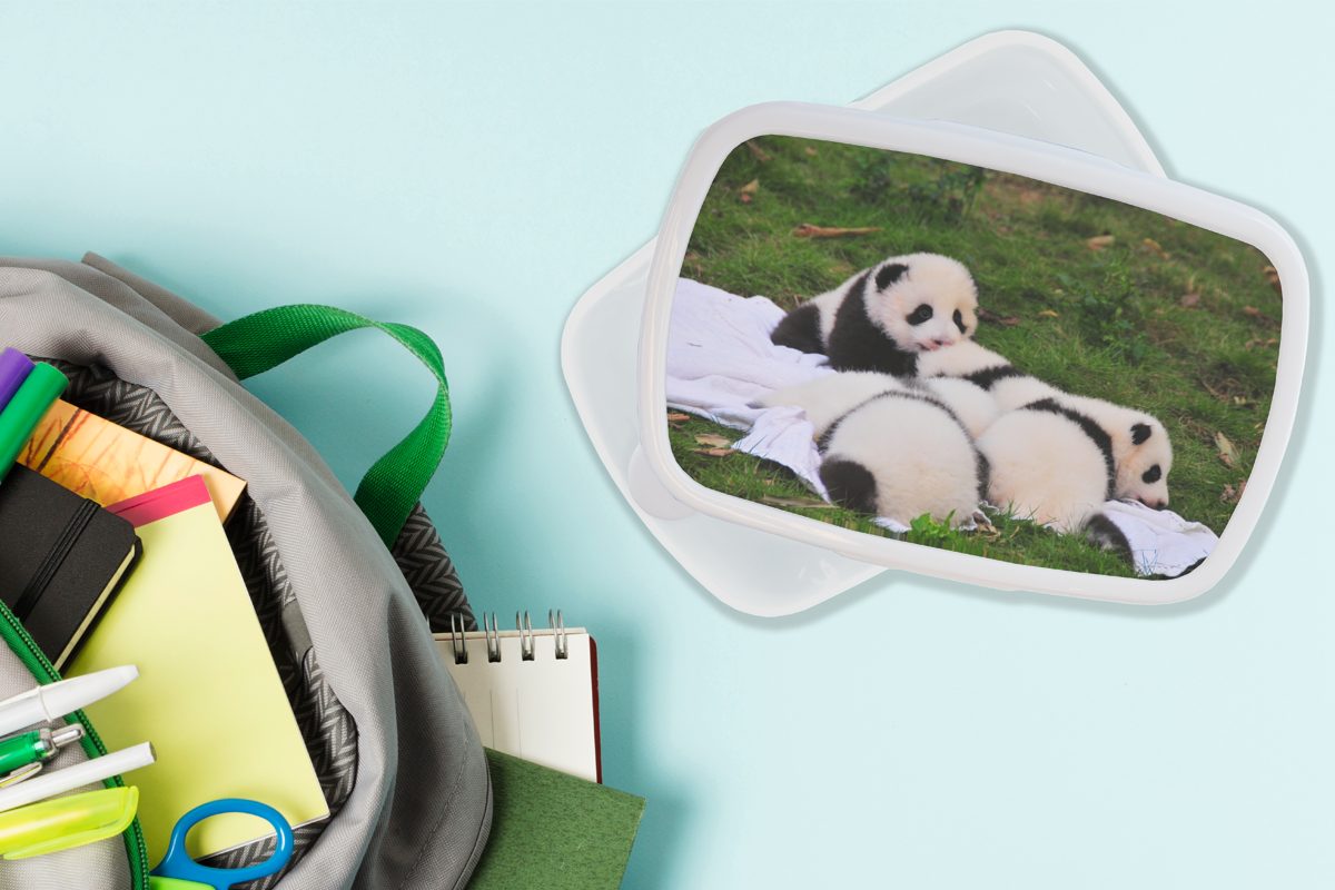 Decke, - MuchoWow - Mädchen und Pandas weiß Jungs Lunchbox Kunststoff, und für Kinder Brotbox Brotdose, für Erwachsene, Gras (2-tlg),