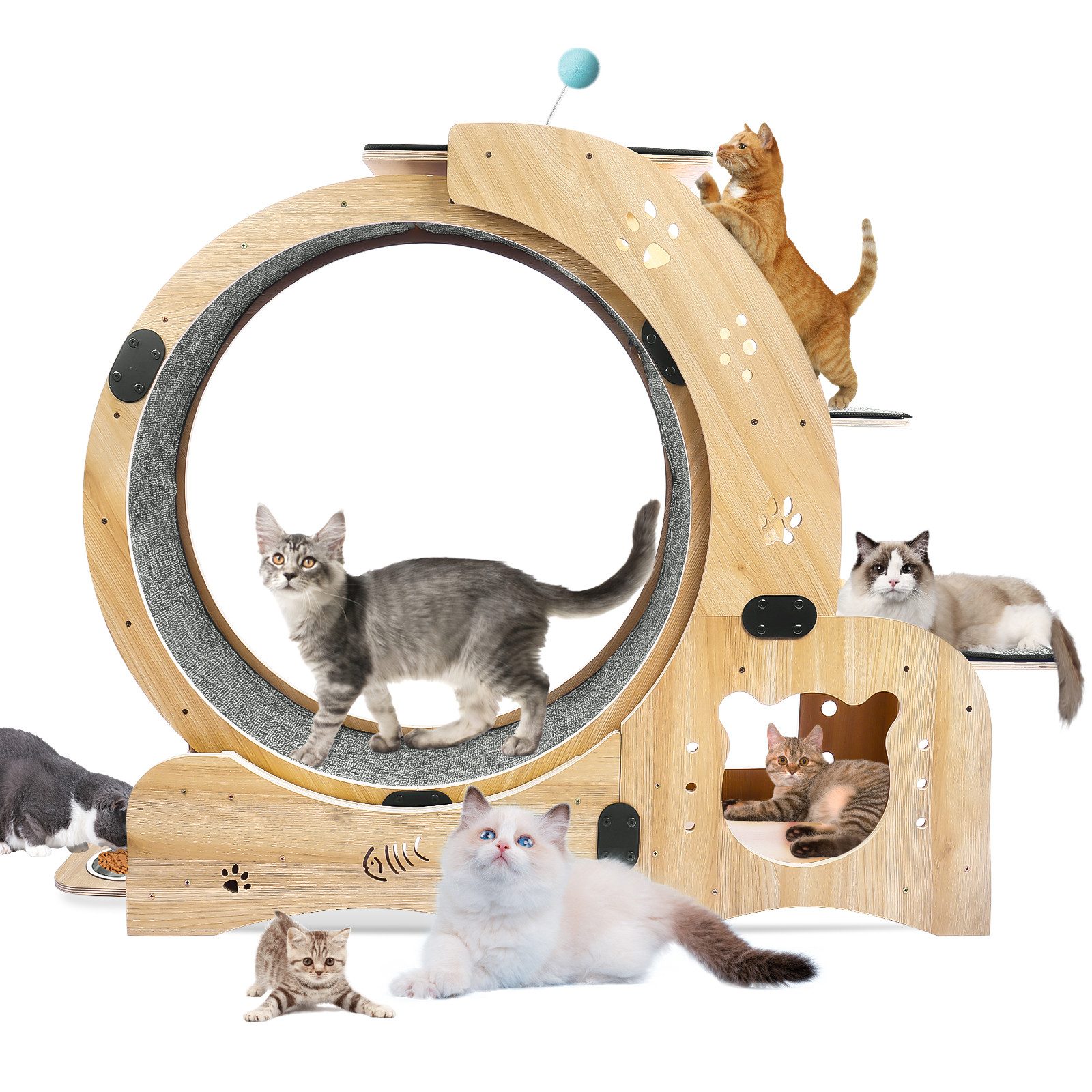 Blossom Tier-Intelligenzspielzeug Tierlaufrad Katzenlaufrad XXL mit extra langen Pedalen 45,5 cm leises, Holz, Indoor Laufrad für Katzen, Katzentrainer Fitnessrad aus Massivholz