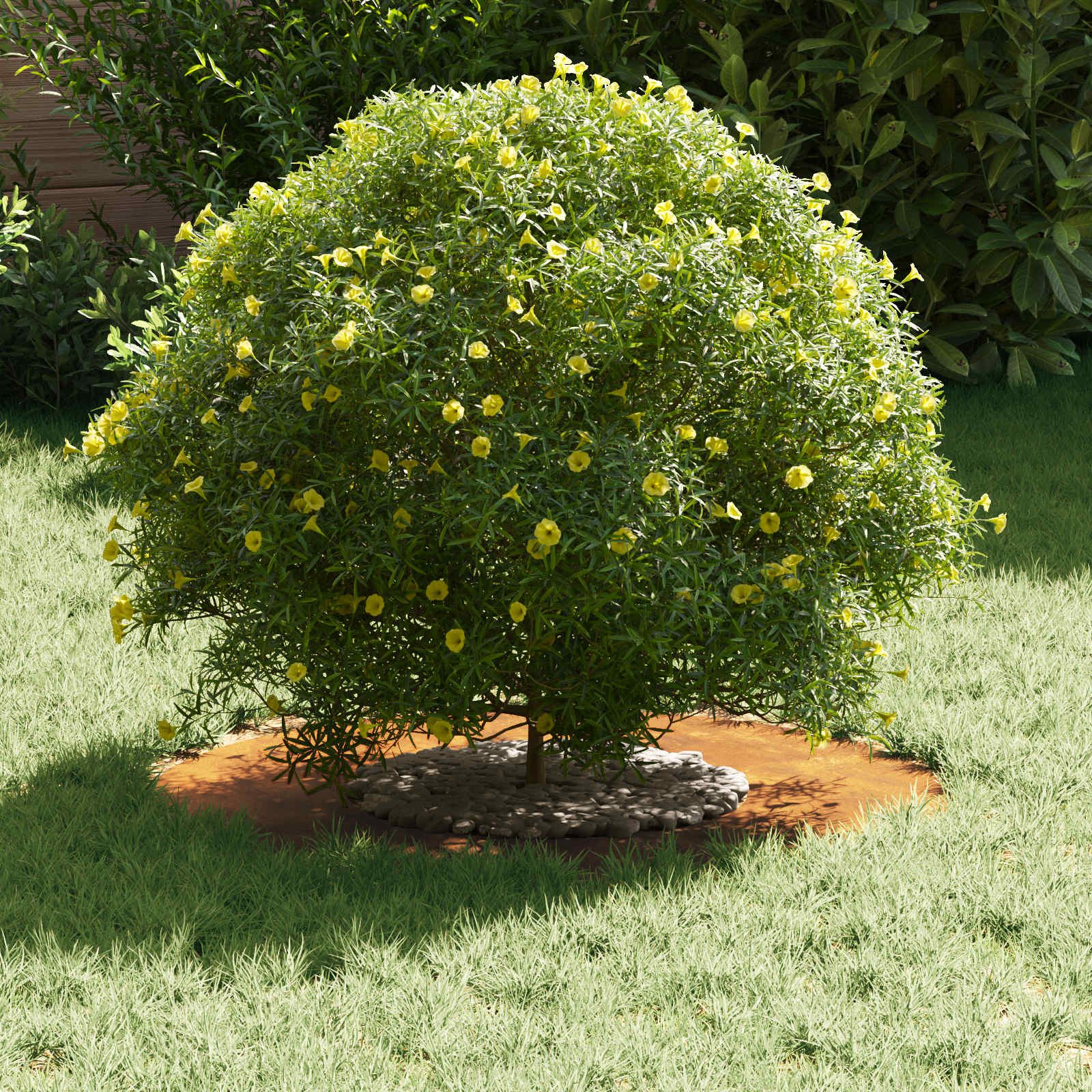 vidaXL Blumentopf geeignet für flache Baumringe 5 pcs Braun Ø30 / 60 cm (5 günstig online kaufen