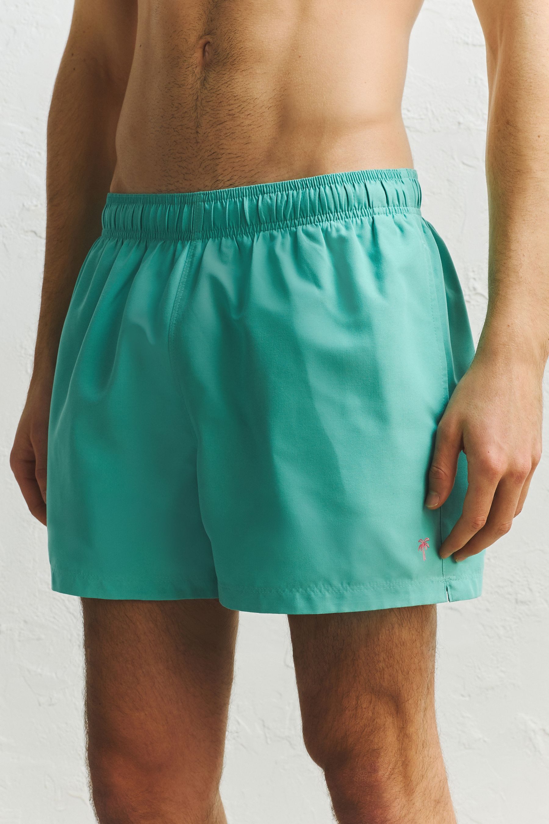 Next Badeshorts Essential 4 Zoll Badeshorts (1-St) – Bild 4 von 5