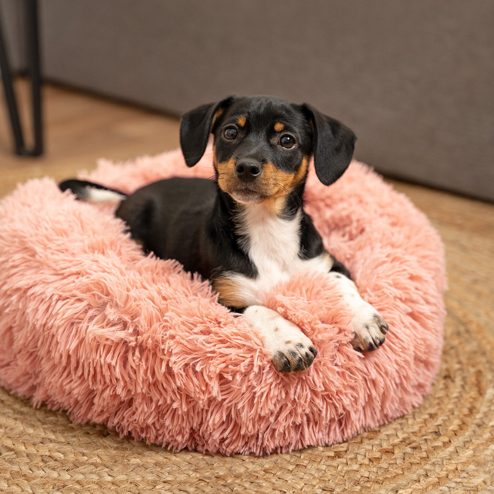 lionto Tierkissen Donut rund mit Rand, Plüschbezug, weiches & gemütliches Hundebett mit Anti-Rutsch-Noppen