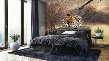 wandmotiv24 Fototapete Leopard Ast Savanne, glatt, Wandtapete, Motivtapete, matt, Vliestapete