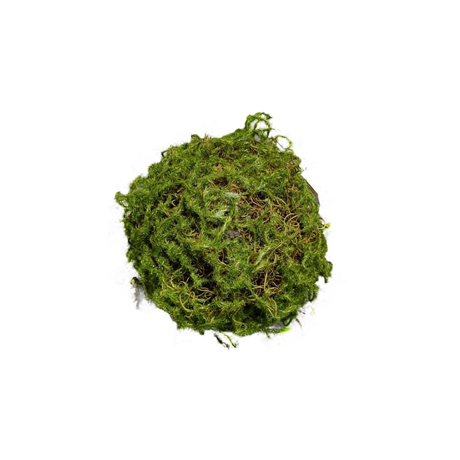 Kunstblume Mooskugel 18 cm Kunstpflanze Flora Moos, HTILiving, Höhe 18 cm