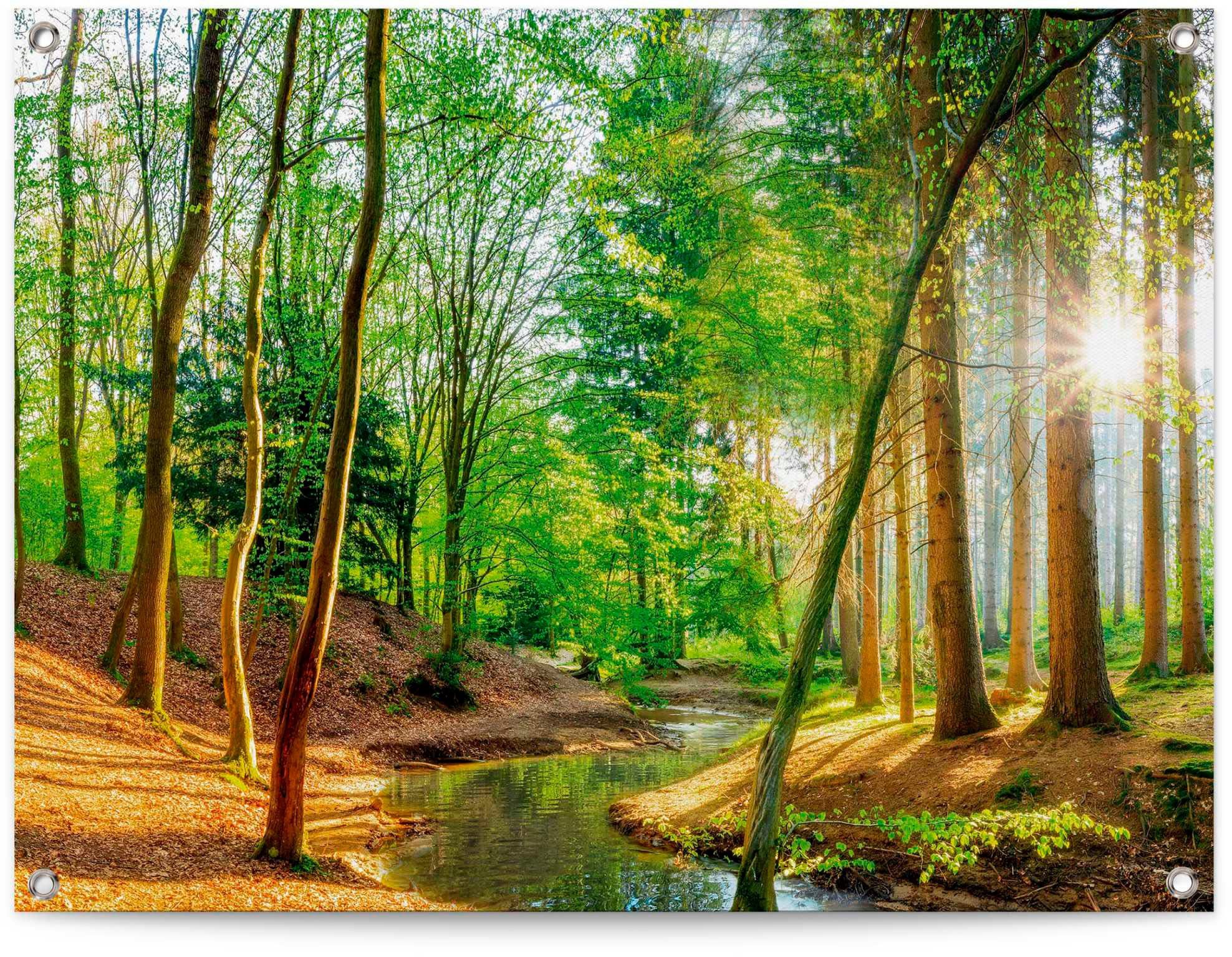 Reinders! Poster Sonniger Wald