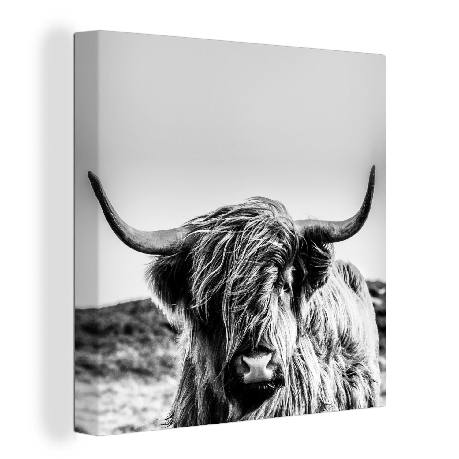 OneMillionCanvasses® Leinwandbild Kuh Leinwand bunt - -, (1 Natur Schottischer - Bilder für Schwarz Wohnzimmer Weiß Tier Hochländer Schlafzimmer - - St), 
