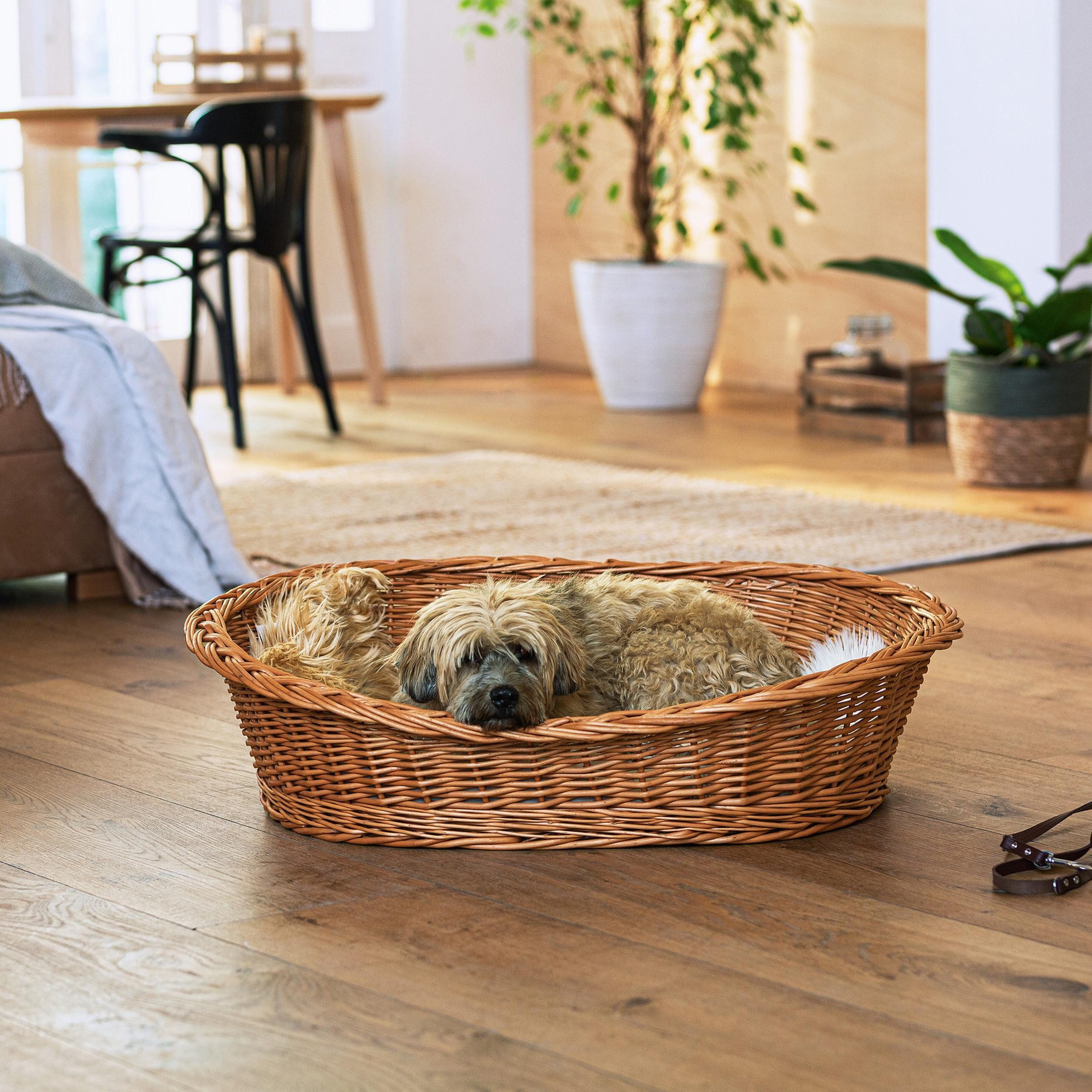 Thumbnail - Frank Flechtwaren Allzweckkorb Hundekorb Weide XL 90x70cm – Hundebett, Tierbett