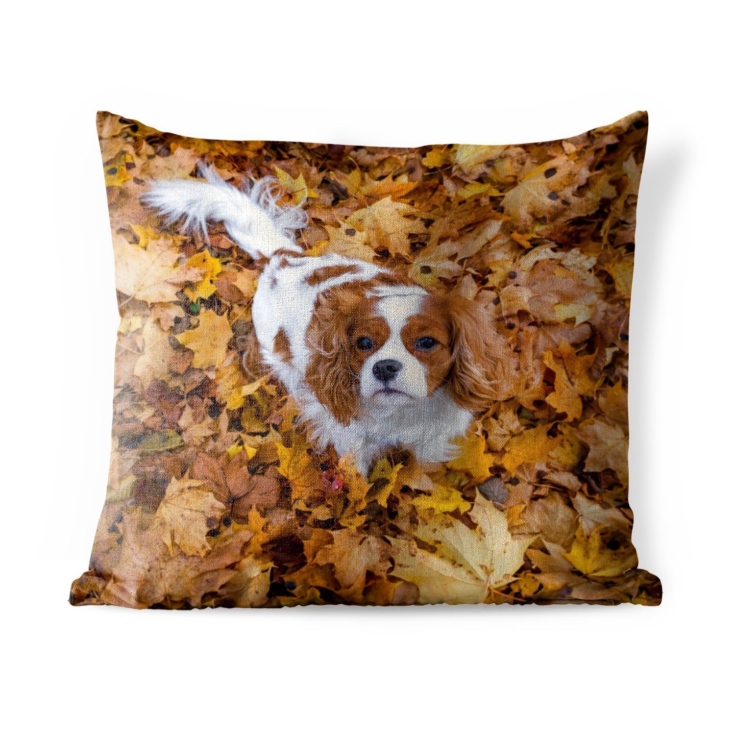 MuchoWow Dekokissen Cavalier King Charles Spaniel unter dem Herbstlaub, Kissenbezüge, Kissenhülle, Dekokissen, Dekokissenbezug, Outdoor