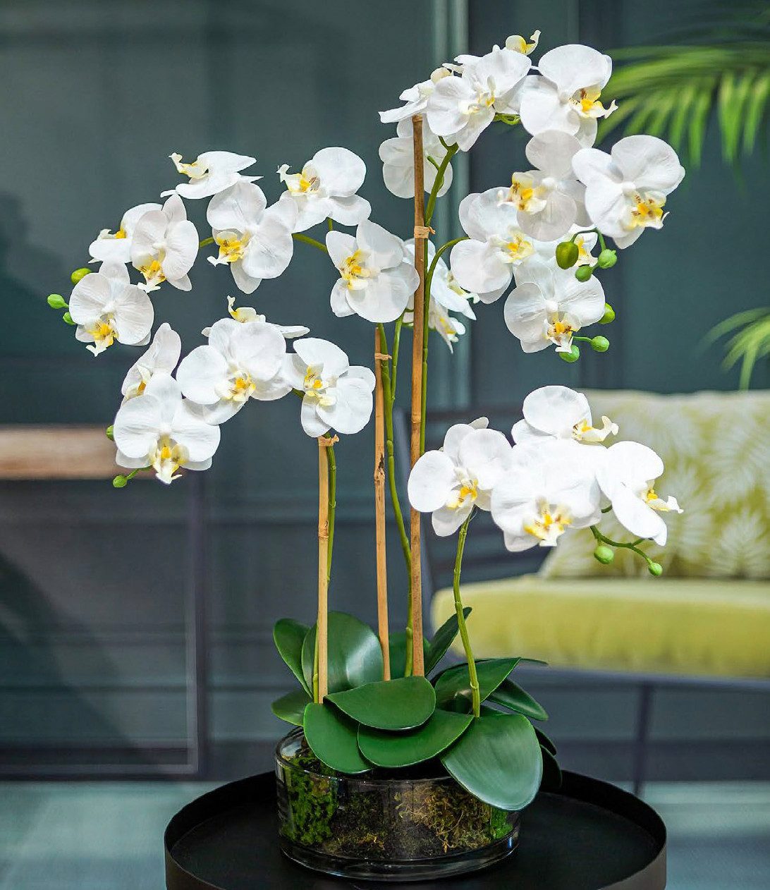 Kunstblume Orchidee Phalaenopsis im Glas, weiß, ca. 70 cm hoch, Dahlia Studios, Höhe 70 cm