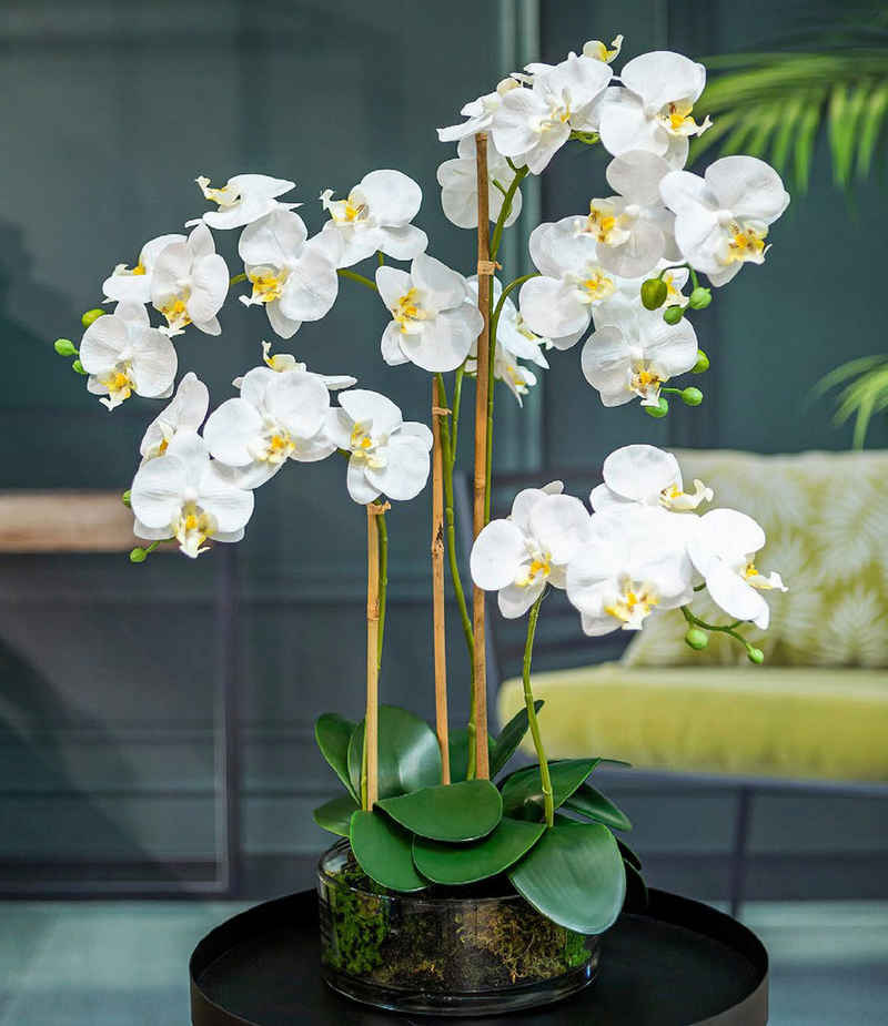 Kunstblume Orchidee Phalaenopsis im Glas, weiß, ca. 50 cm hoch, Dahlia Studios, Höhe 50 cm