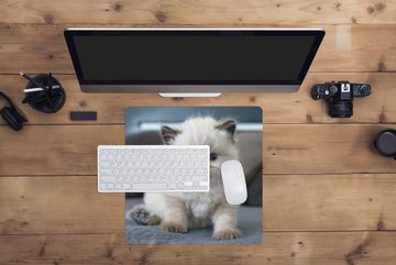 MuchoWow Gaming Mauspad Kätzchen - Katze - Tier (1-St), Mousepad mit Rutschfester Unterseite, Gaming, 40x40 cm, XXL, Großes