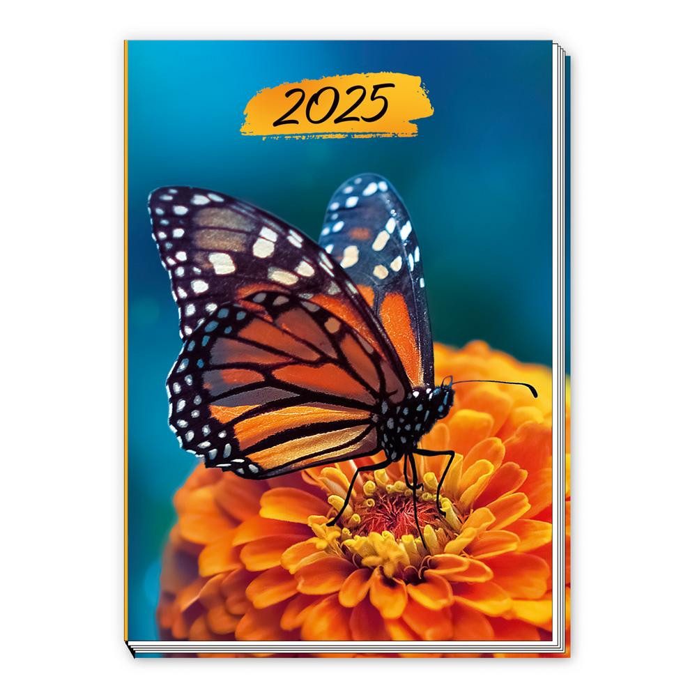 Trötsch Verlag Terminkalender Trötsch Taschenkalender A7 Schmetterling 2025