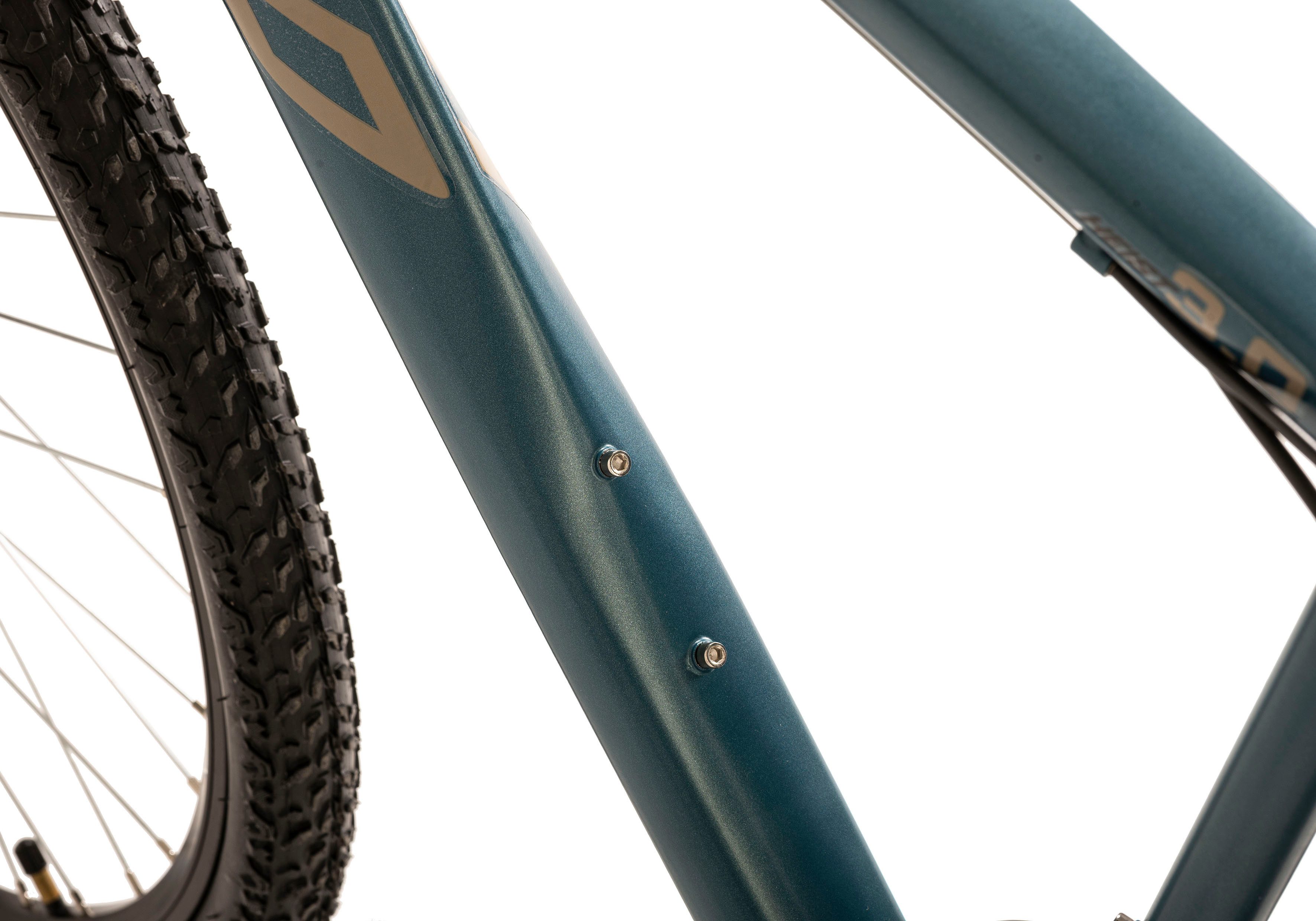 WYLD Mountainbike Heist, 21 Gang, Kettenschaltung