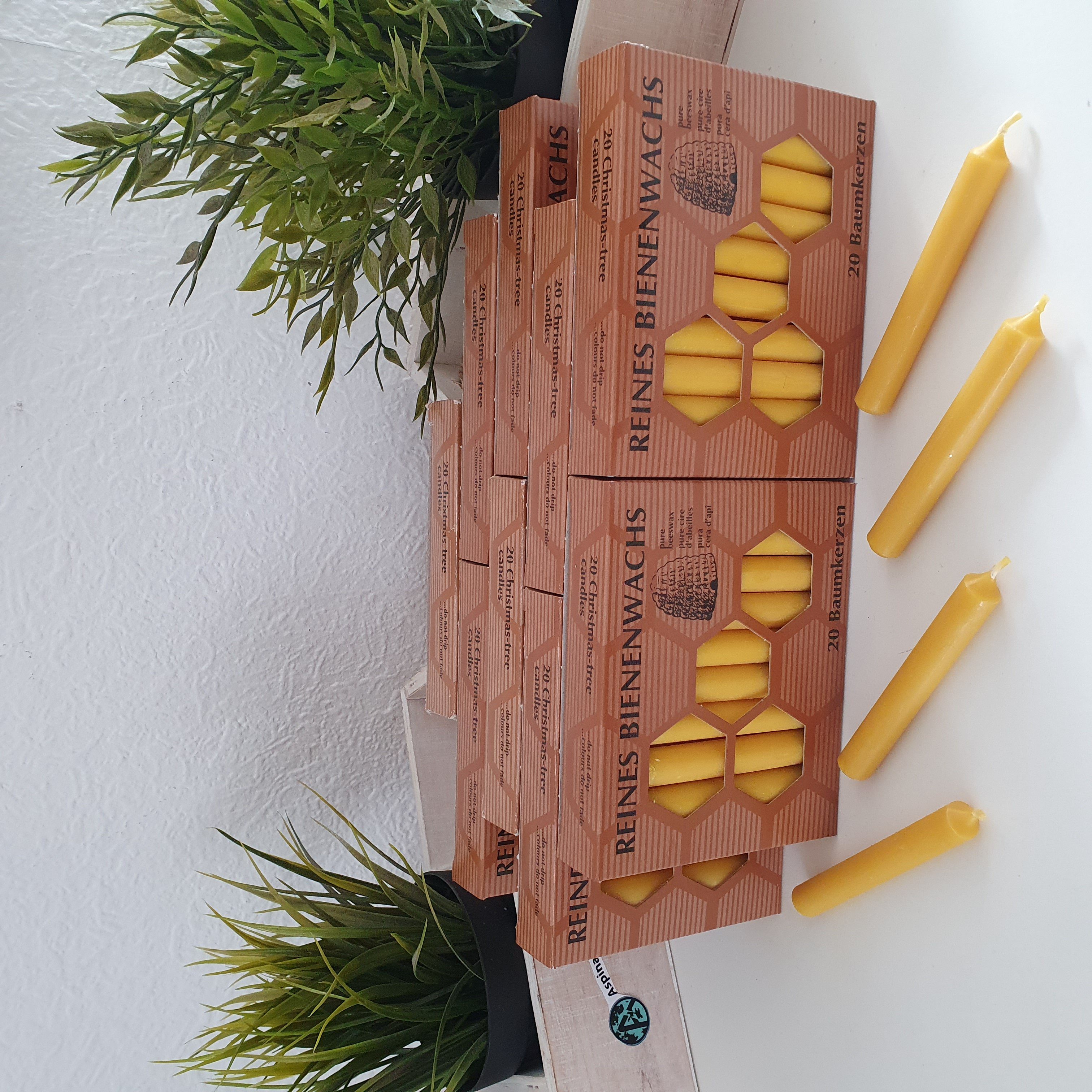 Aspinaworld Bienenwachskerze 200 Baumkerzen 100% Bienenwachs Christbaumkerzen