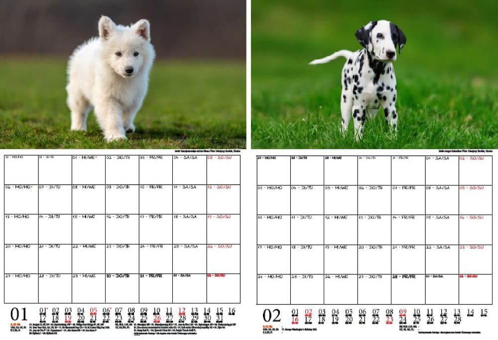 Thumbnail - Seelenzauber Wandkalender Welpenzauber Wand- Planer Kalender für 2025 DIN A4 Hunde