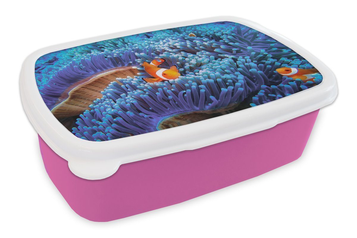 MuchoWow Lunchbox Dreibandige Anemonenfische schwimmen durch blaue Korallen, Kunststoff, (2-tlg), Brotbox für Erwachsene, Brotdose Kinder, Snackbox, Mädchen, Kunststoff rosa