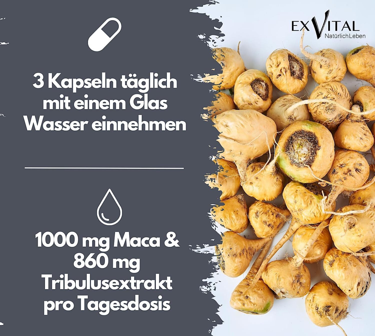 Maca 1000 plus Tribulus, Maca und Tribulus Terrestris ideal kombiniert Kapseln, 74 g