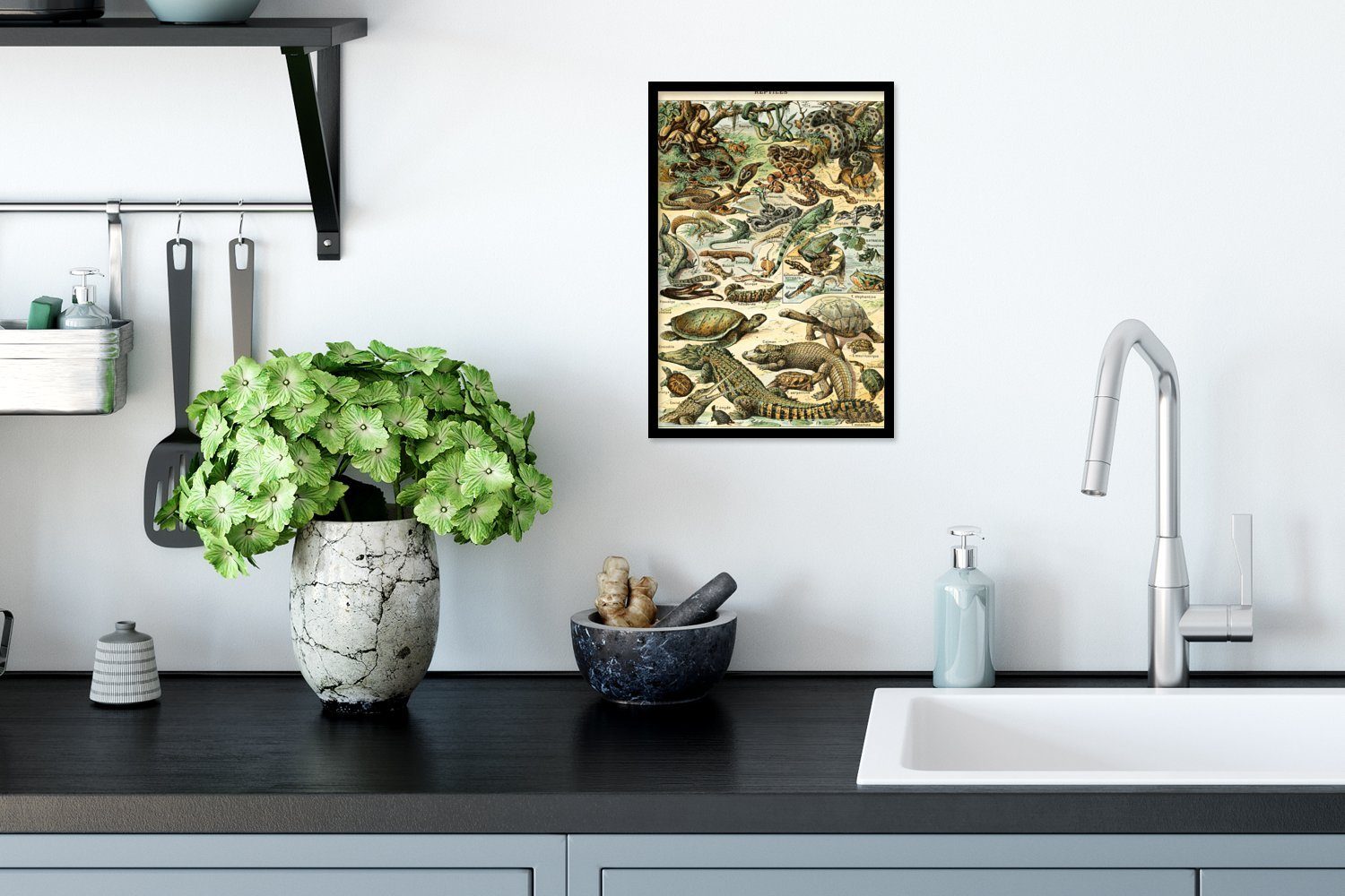 Reptilien Poster, Bilderrahmen Tiere Gerahmtes - Schwarzem Wanddeko, - MuchoWow Poster St), Bilder, (1 Wandposter, Natur,