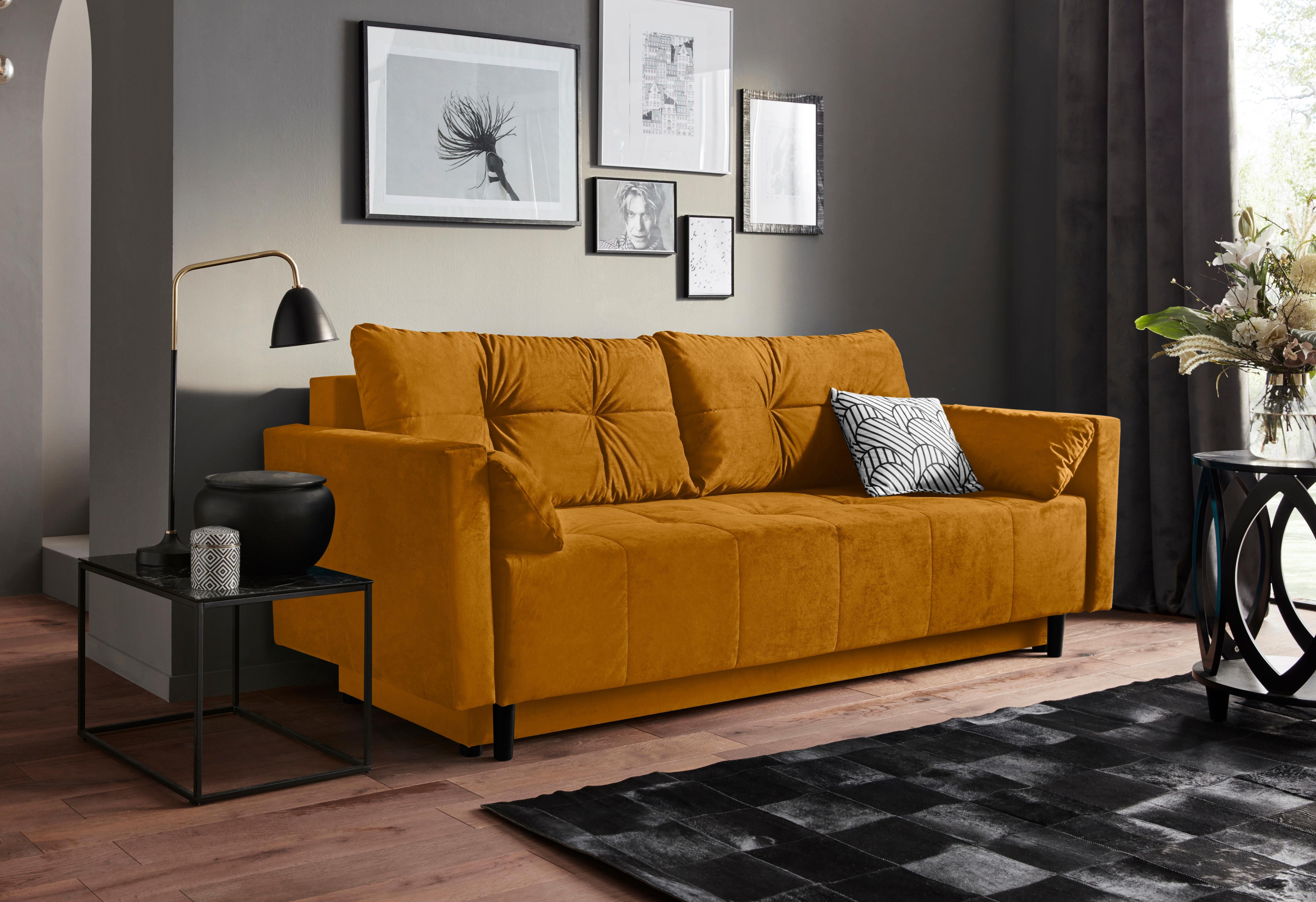 COLLECTION AB Schlafsofa Solar, B: 225 cm, Liegel. 136x200 cm, Schlaffunktion, Bettkasten & 1 Zierkissen, Federkern