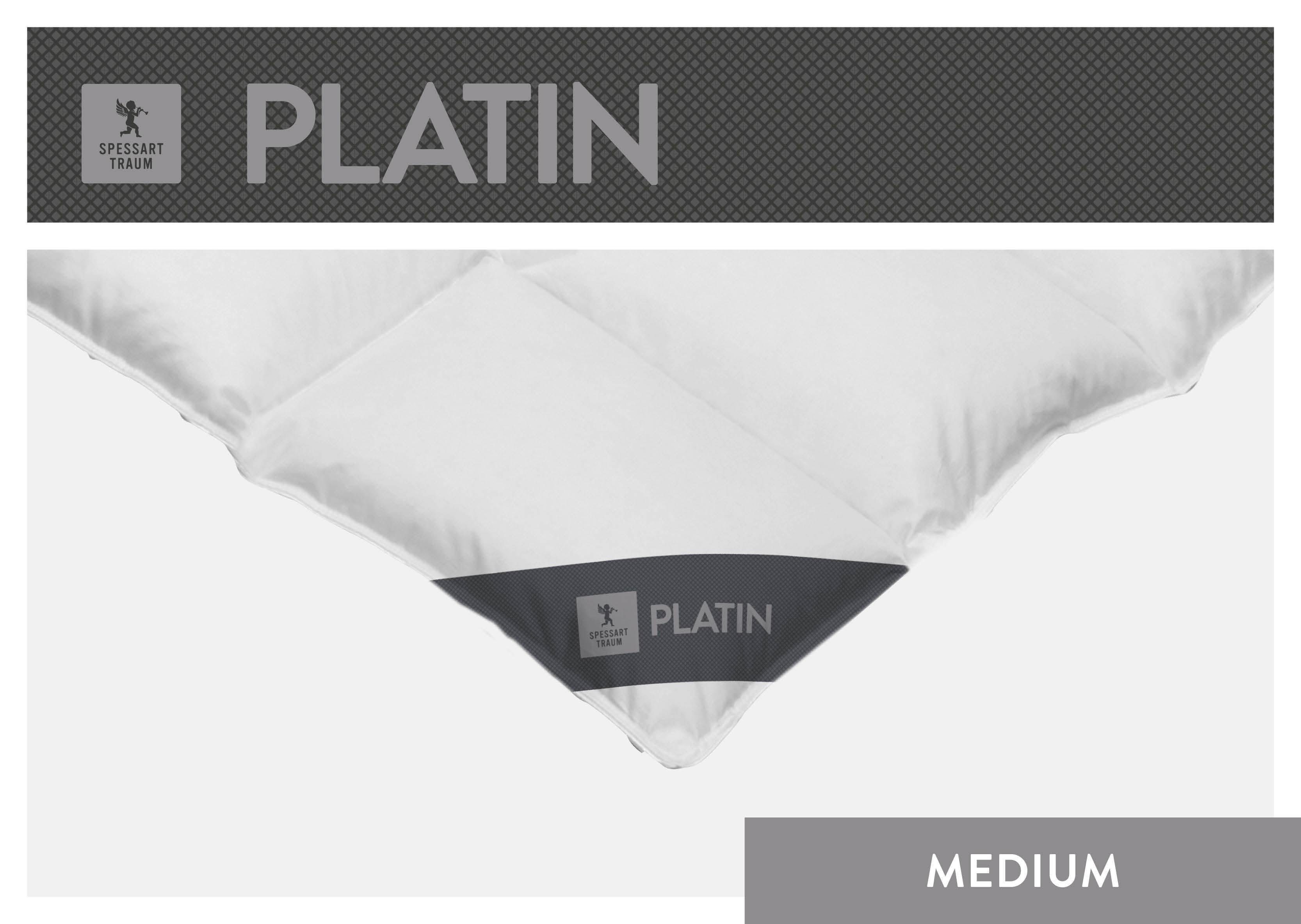 SPESSARTTRAUM Gänsedaunenbettdecke »Platin«, extrawarm, Füllung 100% Reine günstig online kaufen