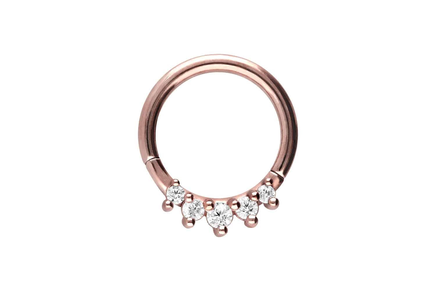 Nasenpiercing Chirurgenstahl Segmentring Clicker 5 KRISTALLE Ohrpiercing Septum Nase