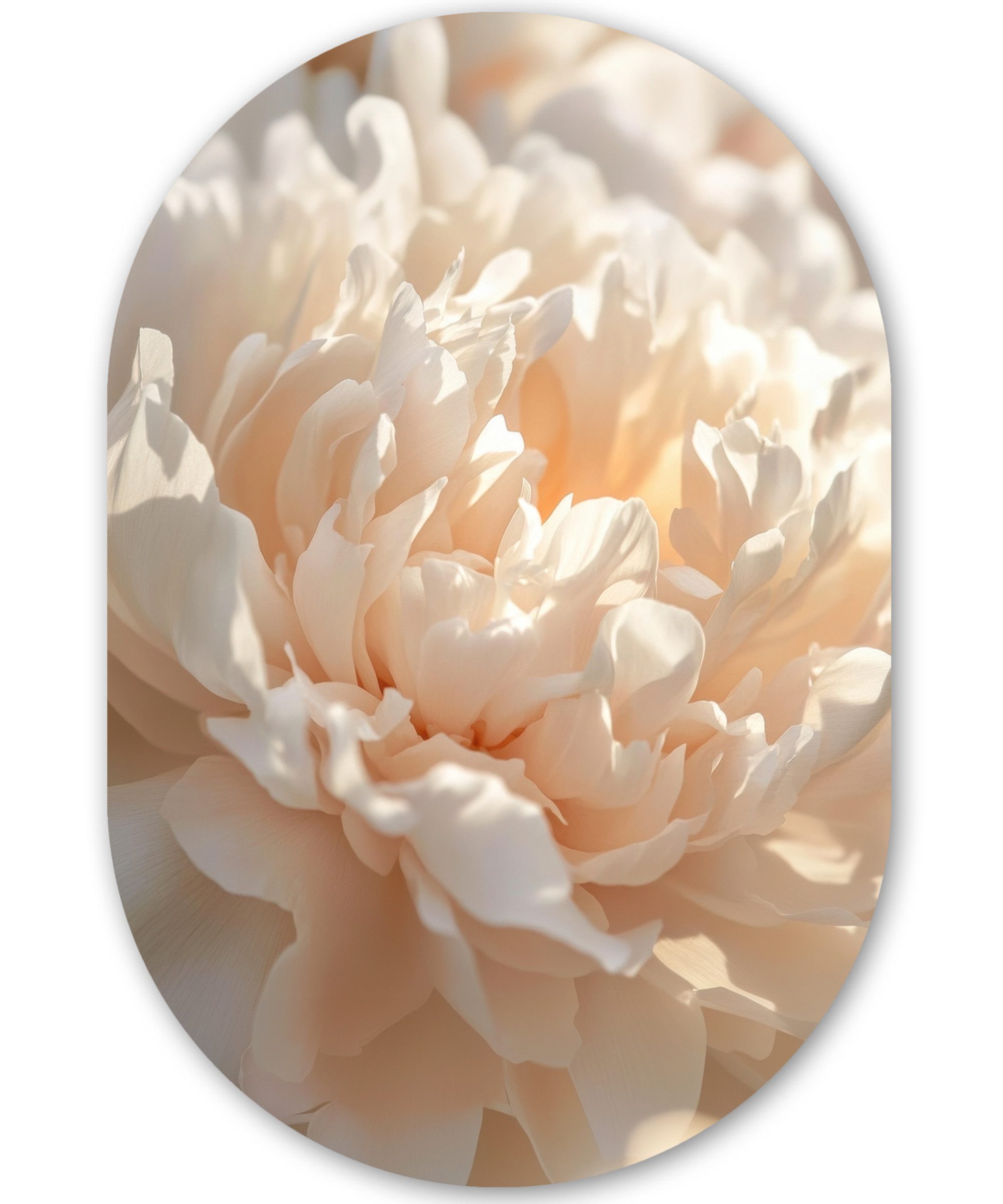 MuchoWow Gemälde Nahaufnahme - Pfingstrose - Hellrosa, Fotodruck (1 St), Wandbild Oval, Wohnzimmer oder Schlafzimmer Wanddekoration, 40x60 cm