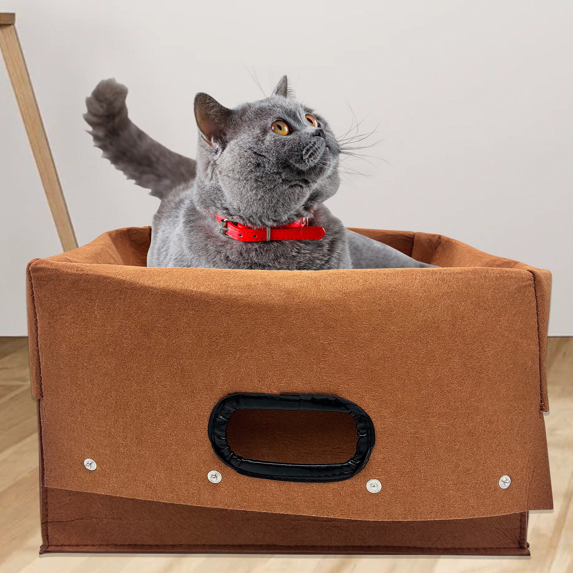 Pisi & Bili Tiertransportbox Transportbox Katze, Zubehör für Katzen, Transporttasche, Ledergriff, aus umweltfreundlicher Filz, Kratzfest