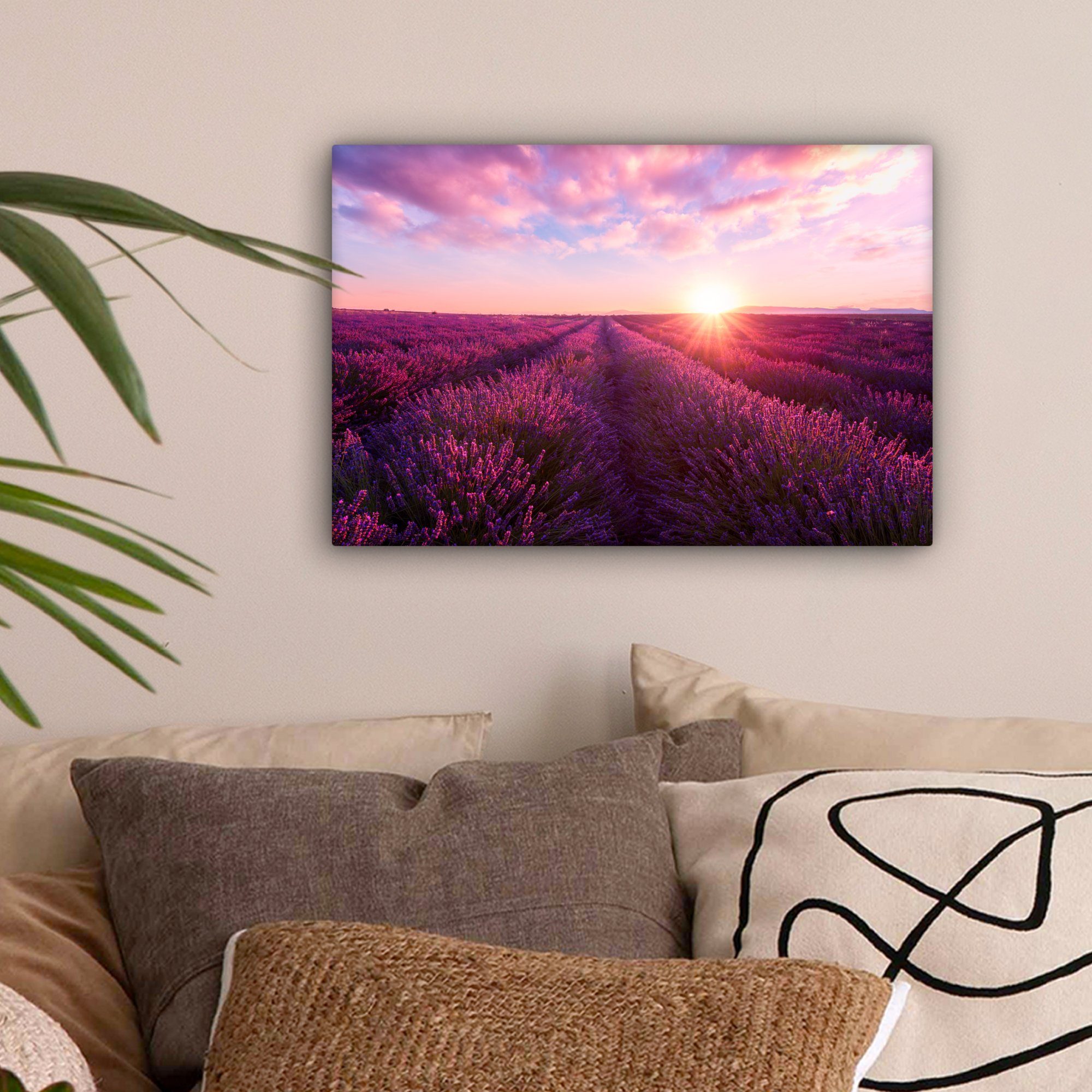 OneMillionCanvasses® Leinwandbild Lavendel - Blumen - Frankreich, Fotodruck günstig online kaufen