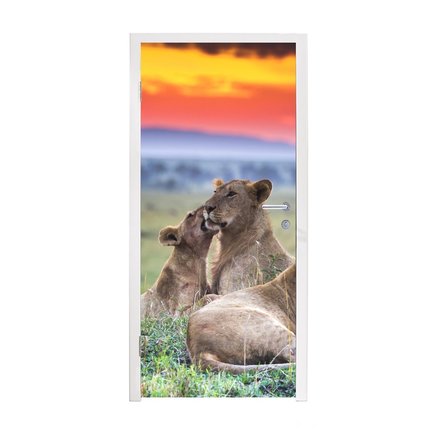 MuchoWow Türtapete Löwen bei Sonnenaufgang, Matt, bedruckt, (1 St), Fototapete für Tür, Türaufkleber, 75x205 cm | Türtapeten