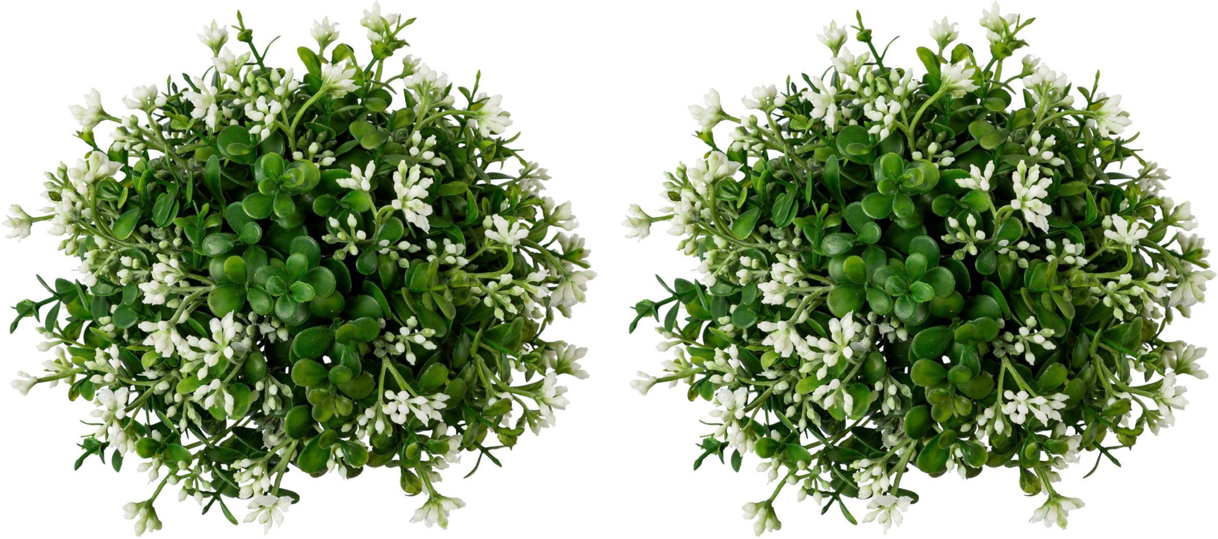 Kunstkranz Eukalypthushalbkugel, Creativ green, Höhe 18 cm günstig online kaufen